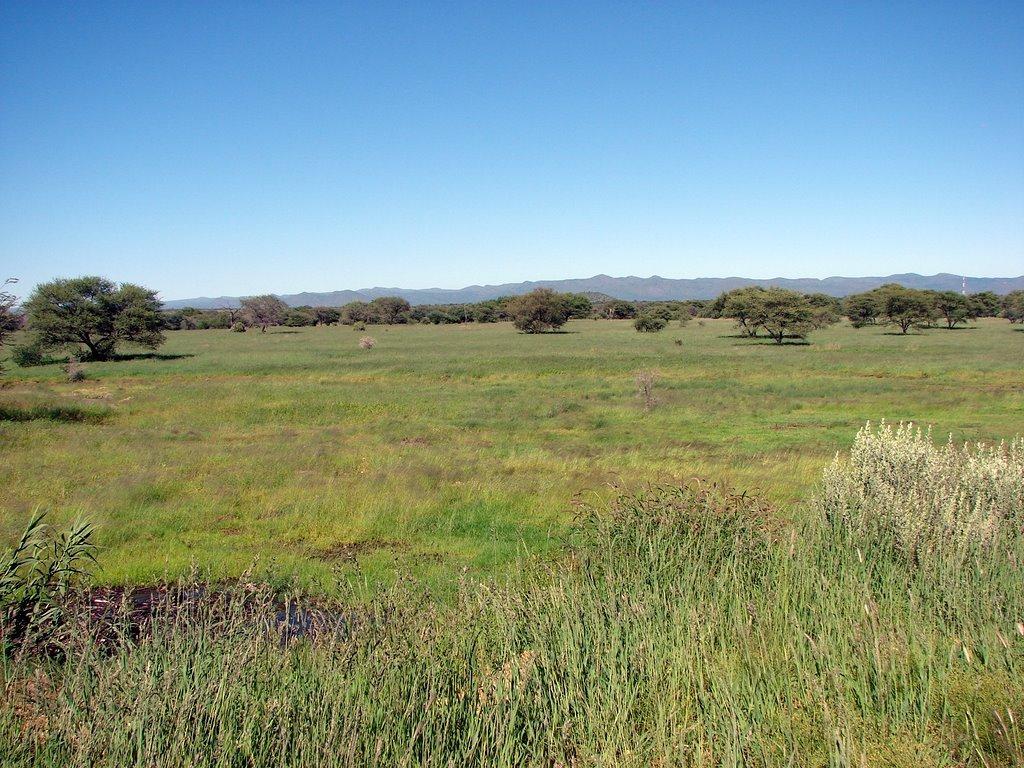 African Grassland Wallpapers - Top Free African Grassland Backgrounds ...