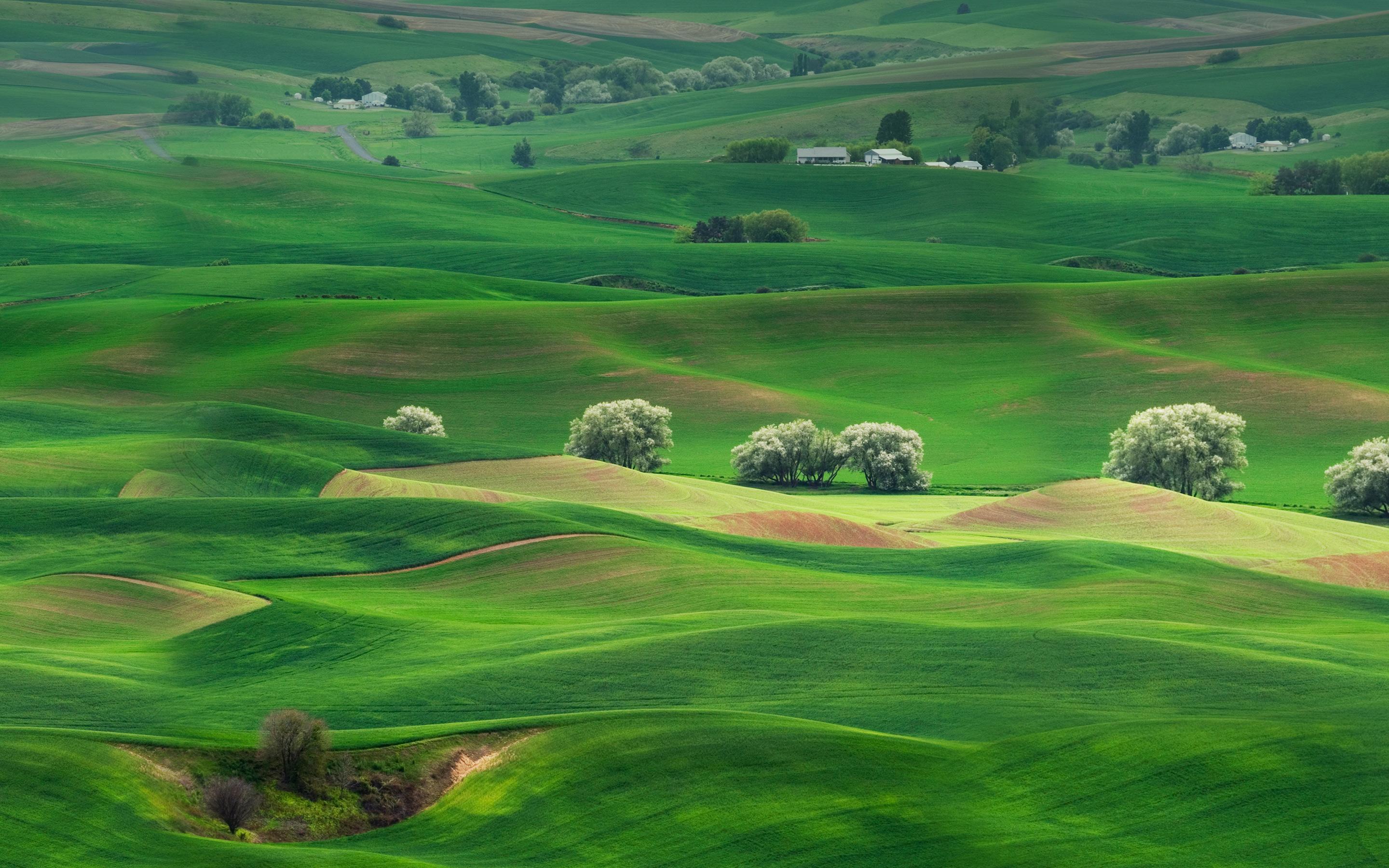 2880x1800 Wallpaper 4k Grassland Landscape Huawei Mate 10 Stock Wallpaper