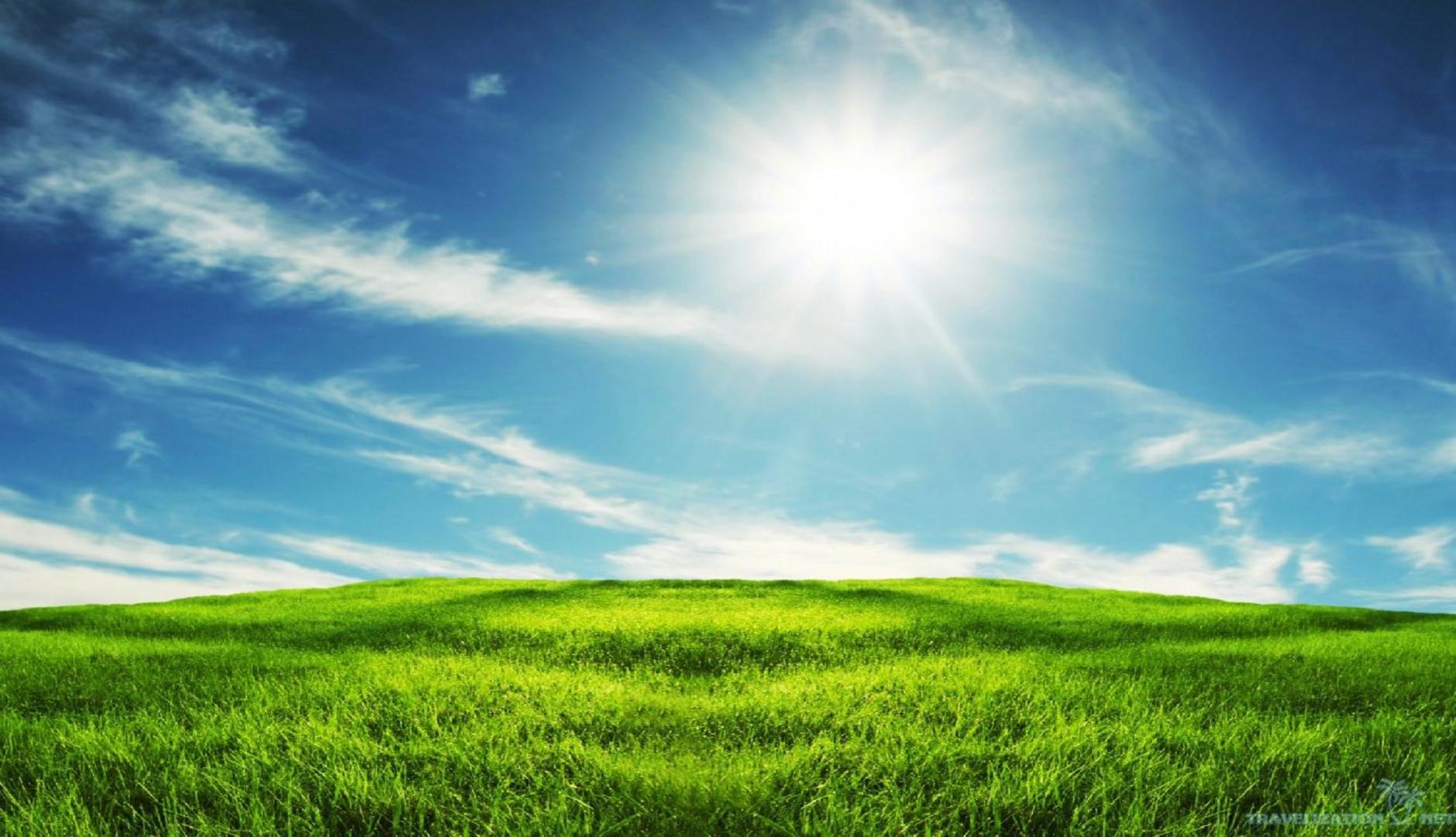 1879x1080 Grassland Landsacape Wallpaper