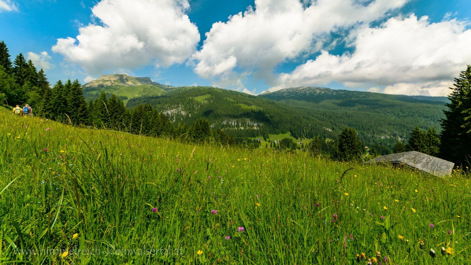 1600x900 Grassland HD Wallpaper