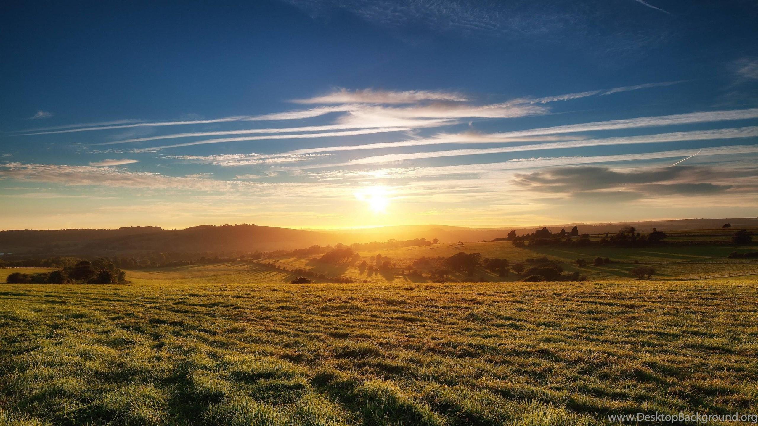 2560x1440 Sunset Grassland HD Wallpaper • IPhones Wallpaper Desktop Background