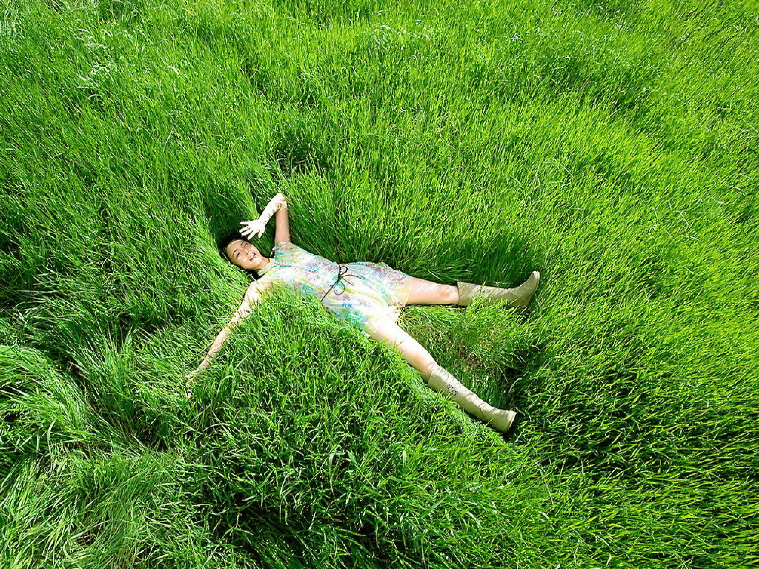 2560x1920 Grassland Wallpaper