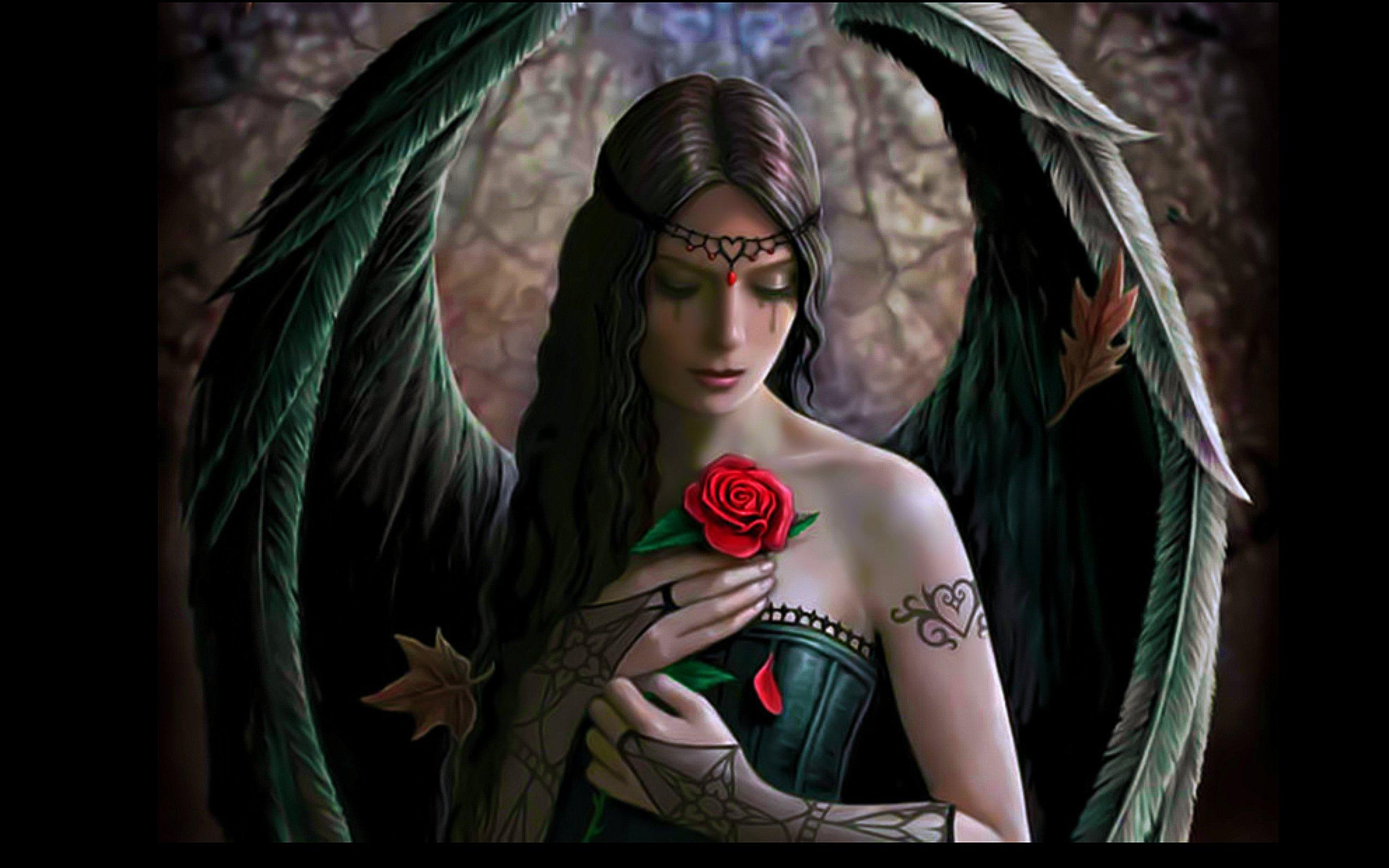 2560x1600 angel, Wings, Fantasy, Girl, Beautiful, Rose, Flower Wallpaper HD / Desktop and Mobile Background