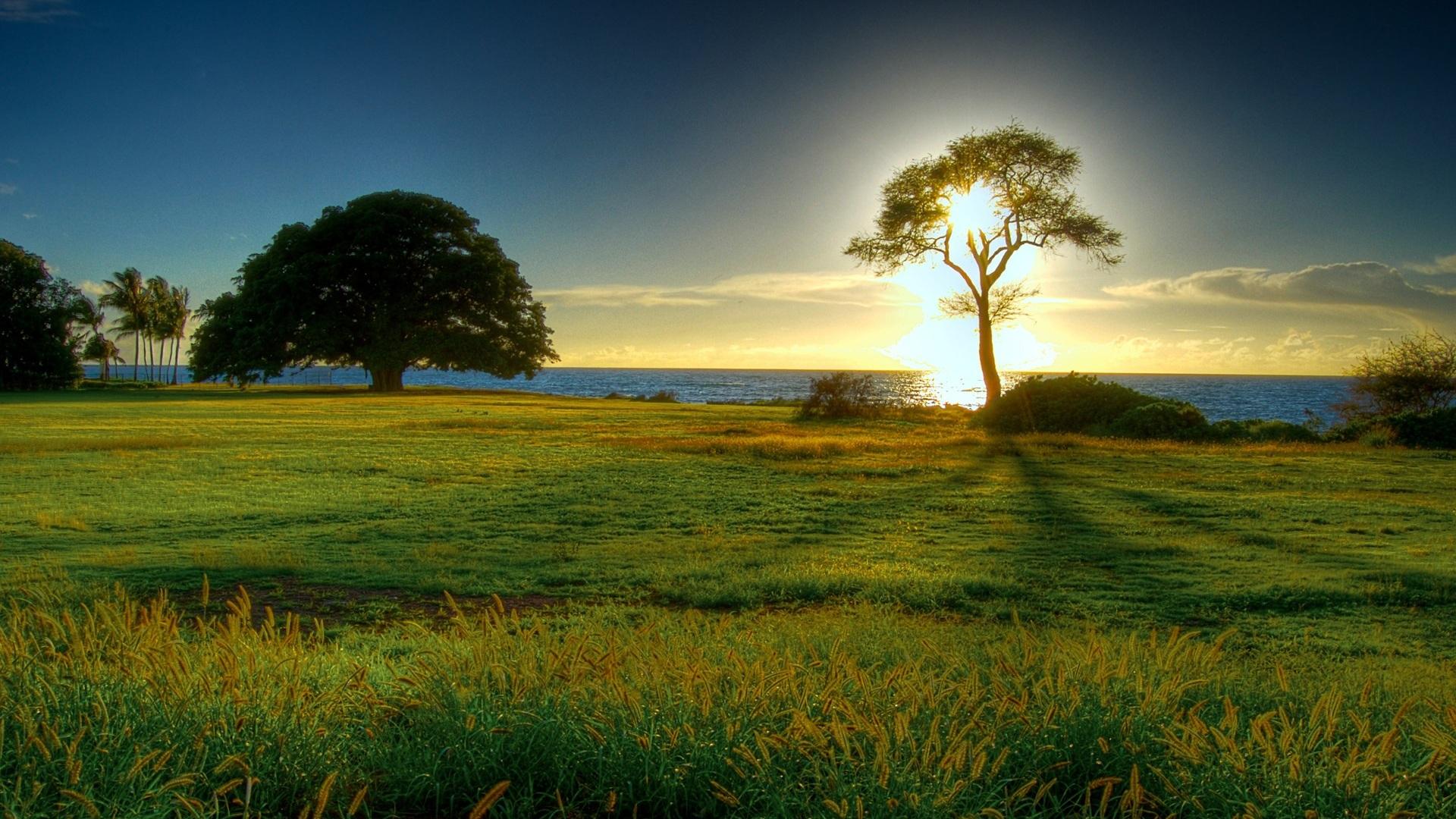 1920x1080 Wallpaper Grasslands sunrise 1920x1200 HD Picture, Image