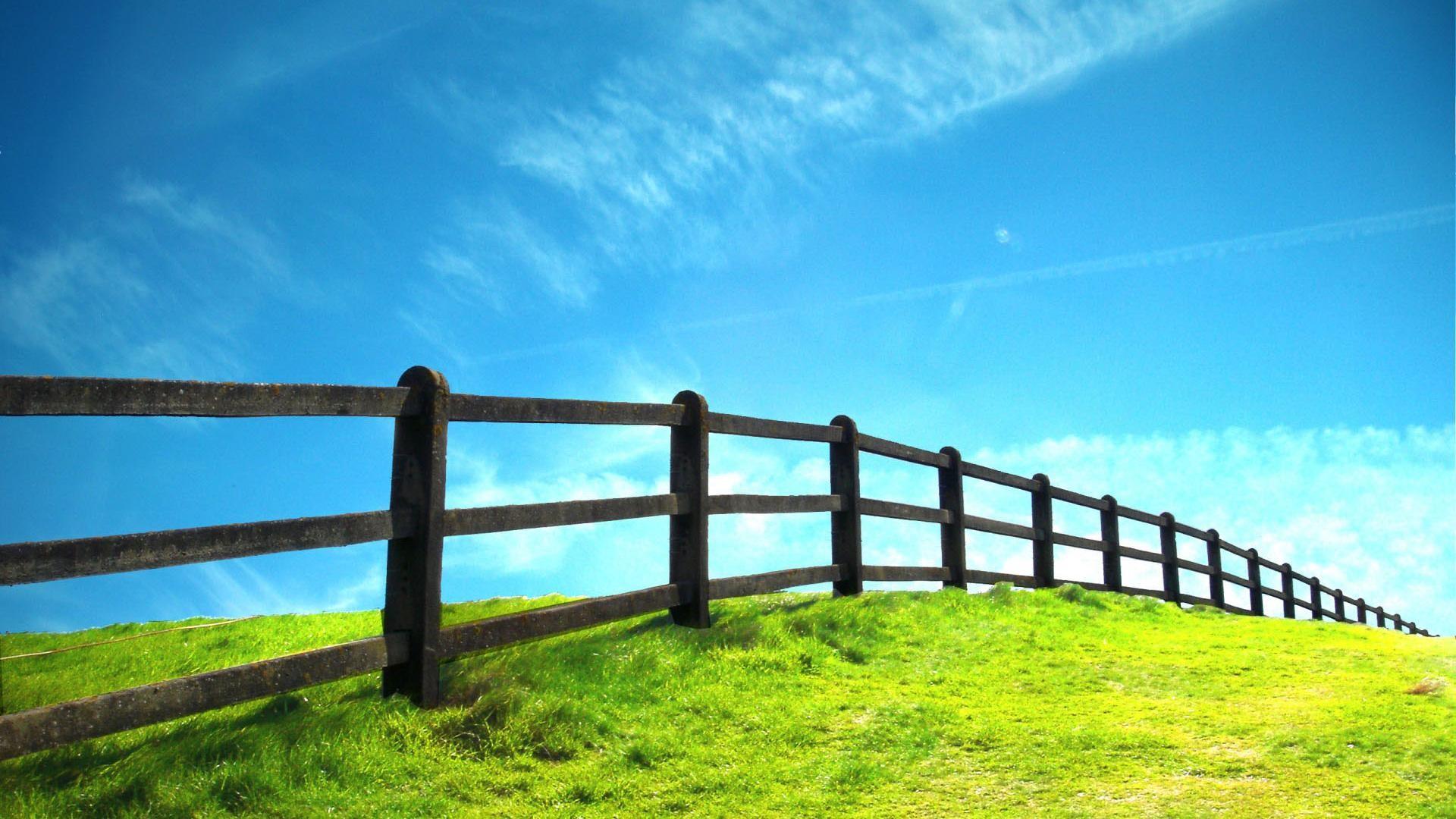 1920x1080 Hd Grassland And Fence Nature Scenery Background Widescreen Background Image HD