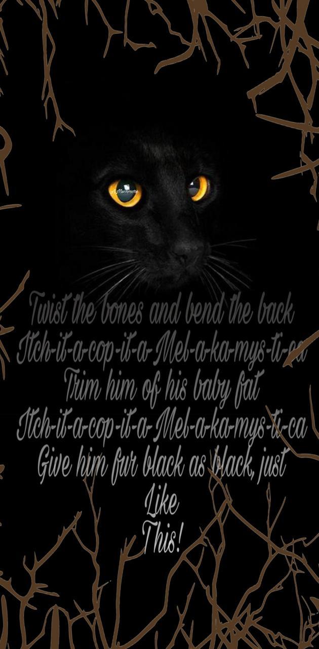 630x1280 Hocus Pocus Binx wallpaper