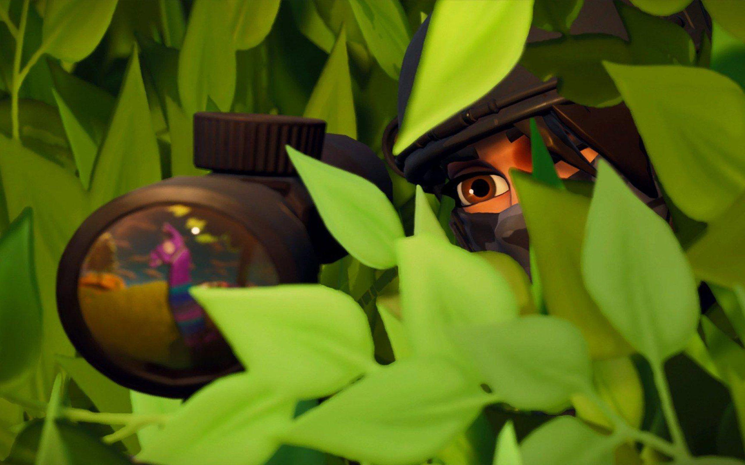 2560x1600 Widescreen Fortnite Ilama Spotted Wallpaper : Games Wallpaper