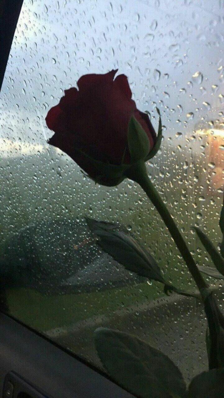 720x1280 vibes, wallpaper and rainy day