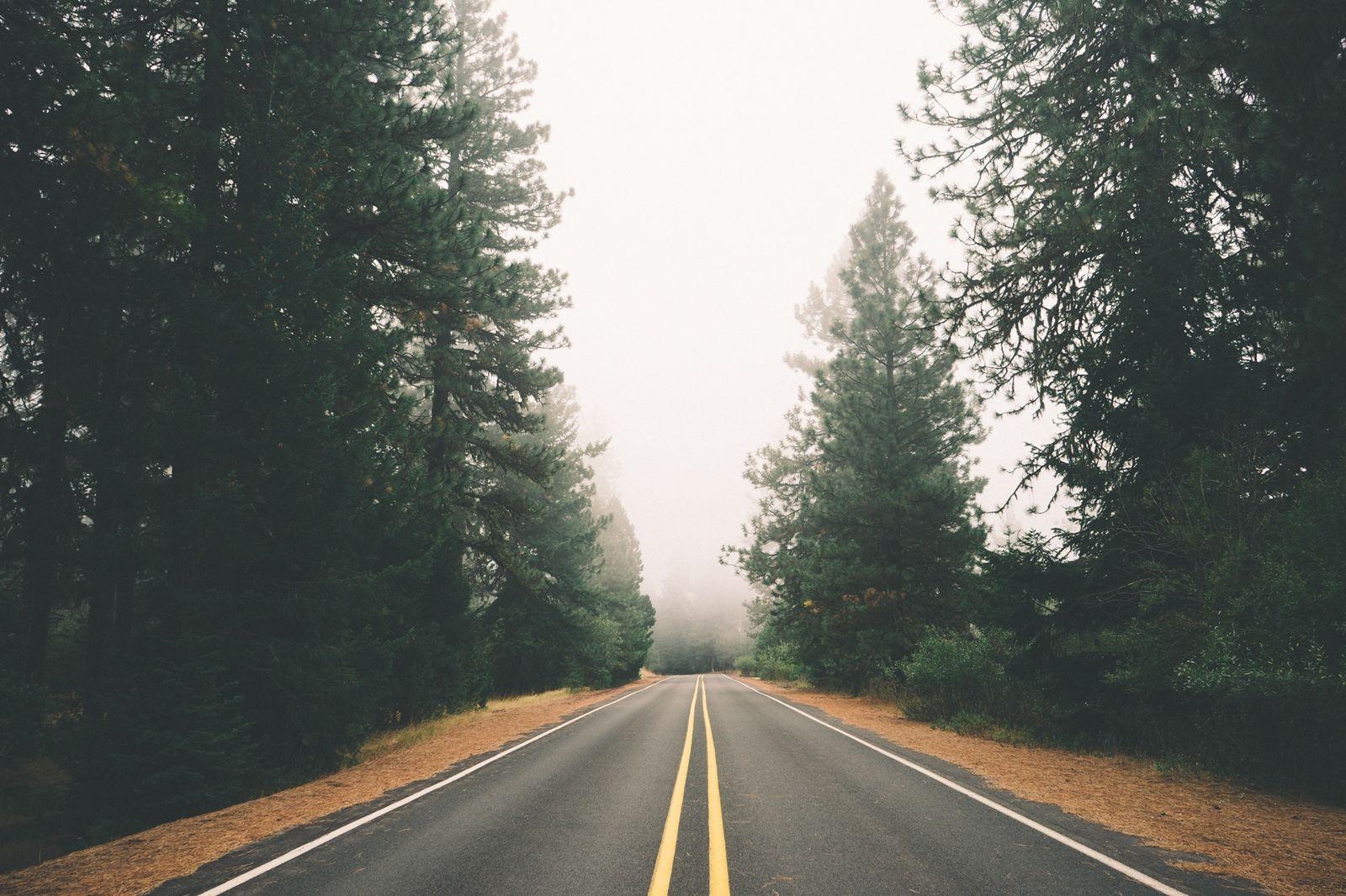 1600x1066 Forest Road Street Fog Foggy Wallpaper.com. Best High Quality Wallpaper