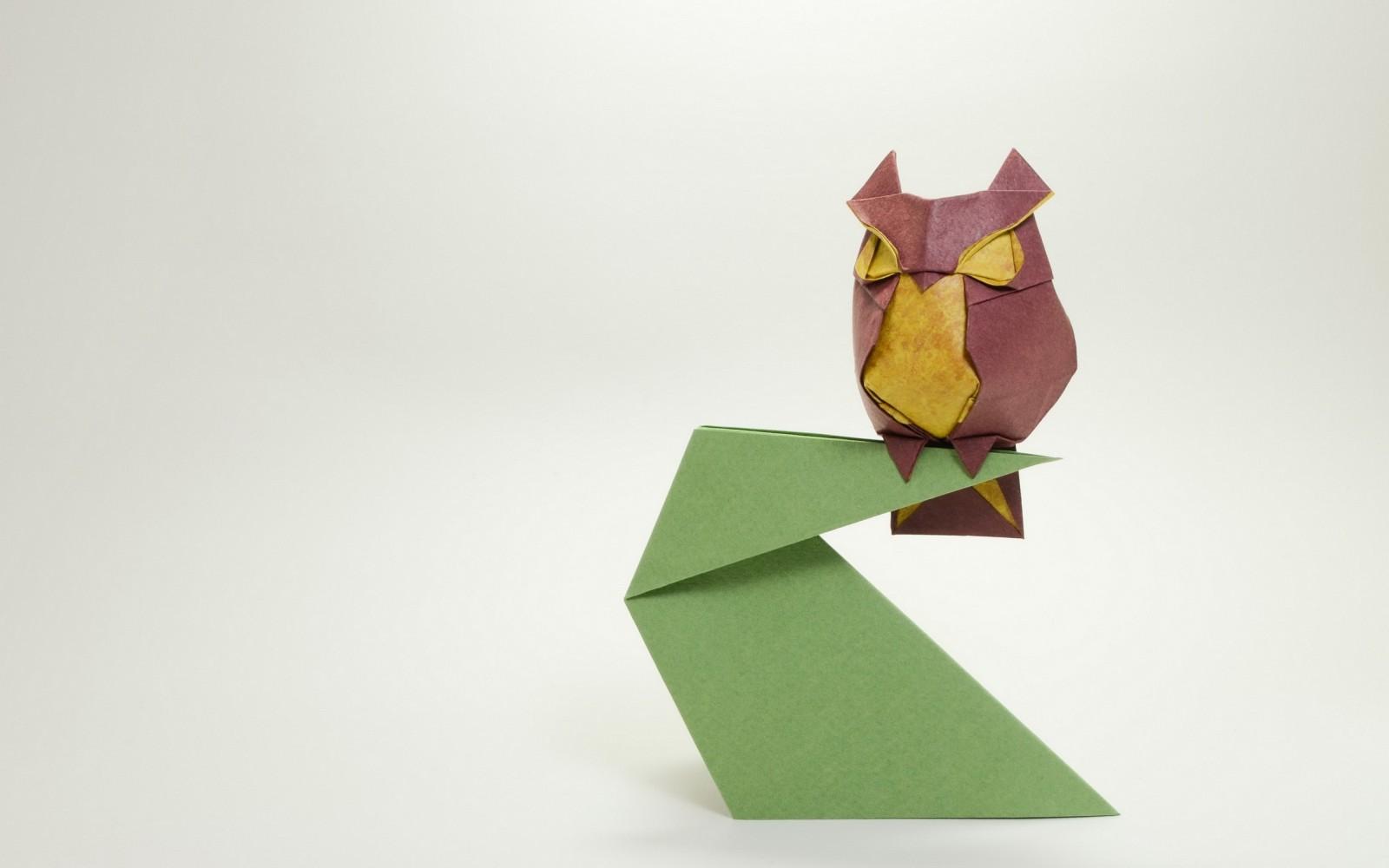 1600x1000 illustration, animals, green, origami, paper, owl, ART, origami paper, art paper. Mocah HD Wallpaper