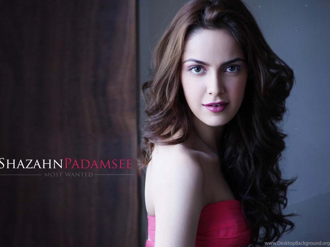 1152x864 Shazahn Padamsee Beautiful Actress HD Wallpaper Desktop Background