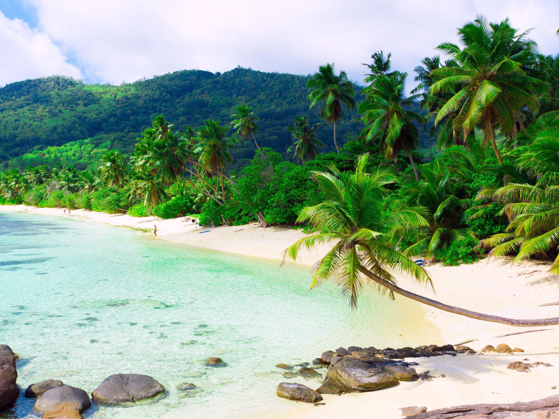 1920x1440 Coast Of Vietnam Nha Trang Tropical Sand Beach Ocean Rocks Palms Nature Landscape Photography 5200x3250 :