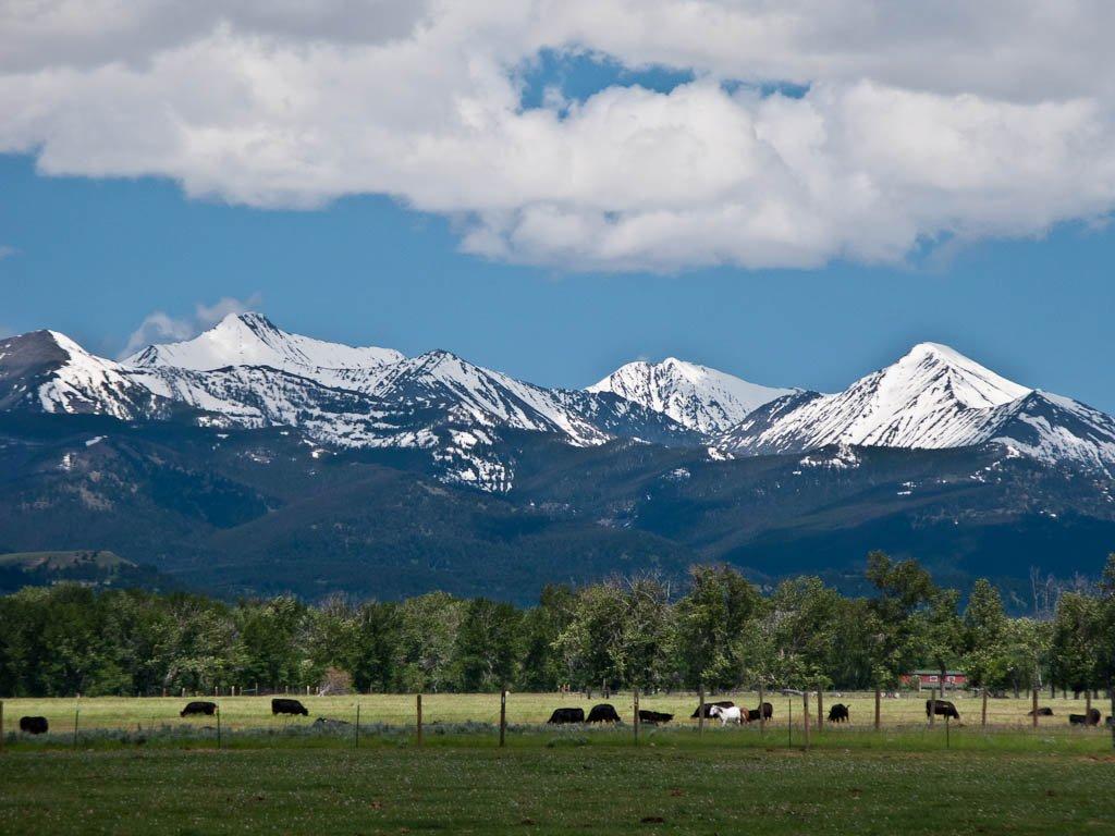 1024x768 Free download Cattle Ranch Wallpaper Montana cattle ranch [1024x768] for your Desktop, Mobile & Tablet. Explore Montana Ranch Wallpaper. Montana Ranch Wallpaper, Ranch Wallpaper, Texas Ranch Wallpaper