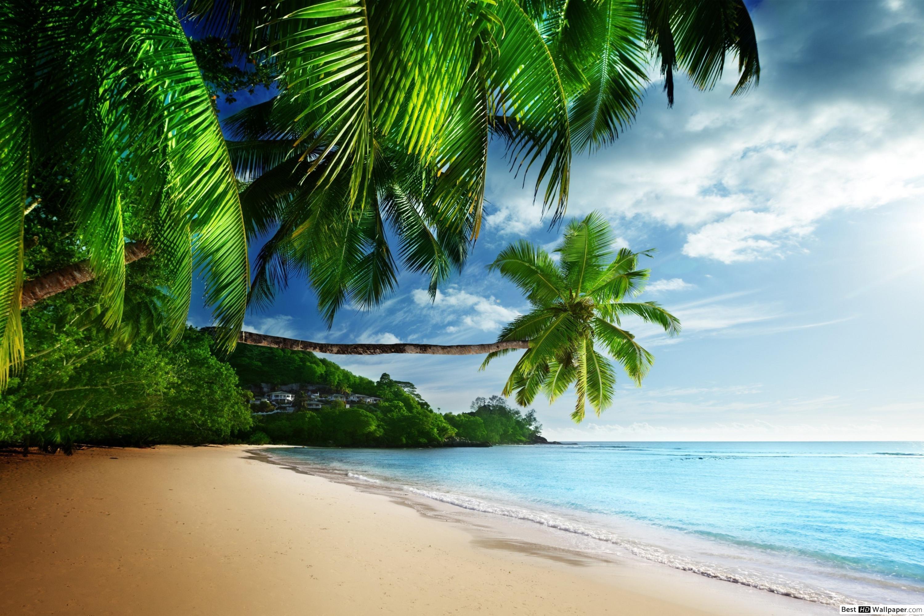 3000x2000 Beach View Wallpaper, HD Beach View Background