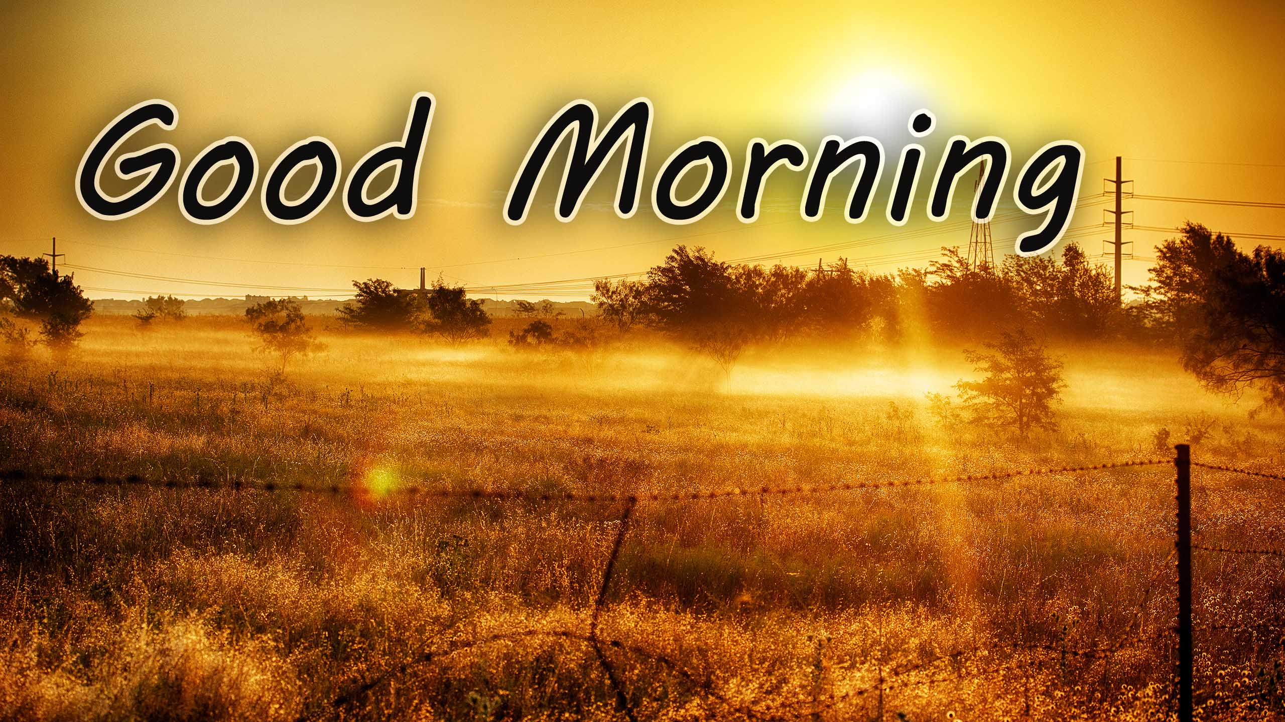2560x1440 Good Morning Quote And Image