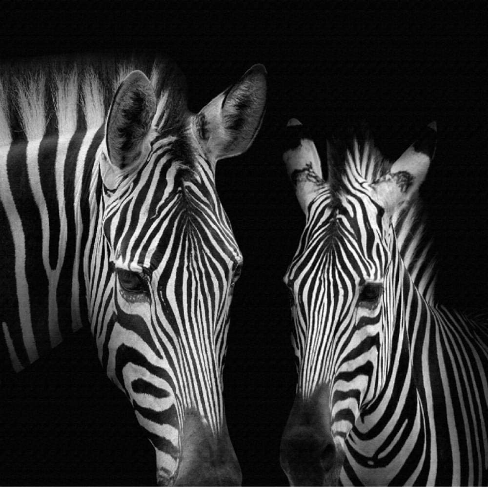 1000x1001 Custom Photo Wall Paper 3D Black And White Zebra Murals Living Room Study Background Wall Home Decor Abstract Art Wallpaper 3 D 350Cmx280Cm