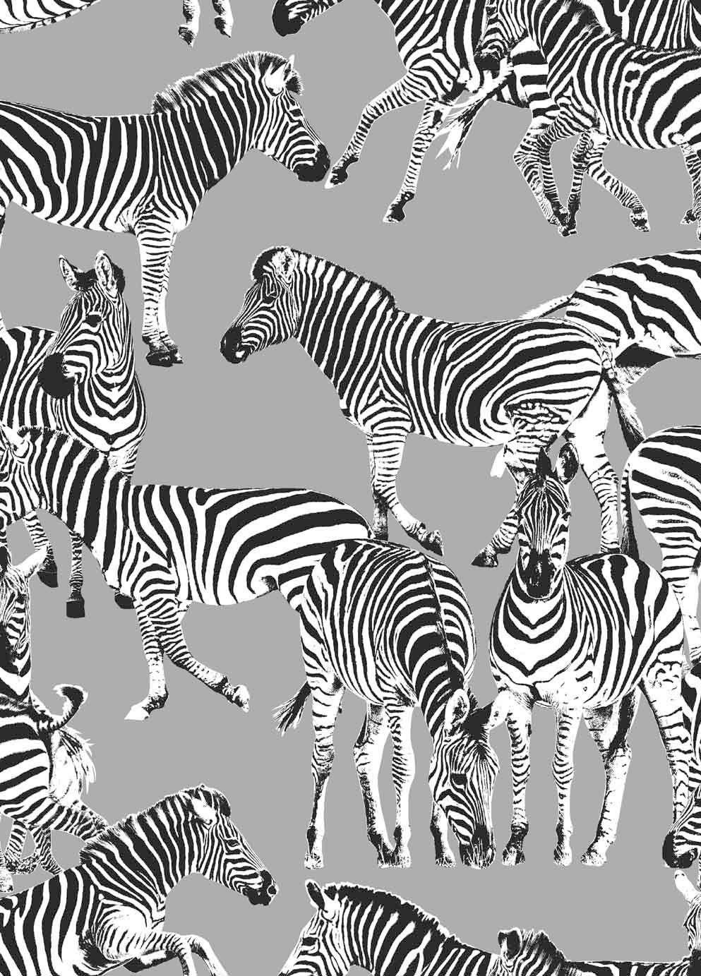 993x1383 Zebras by Vilber Grey : Wallpaper Direct. Zebra wallpaper, Zebras, Animal print wallpaper