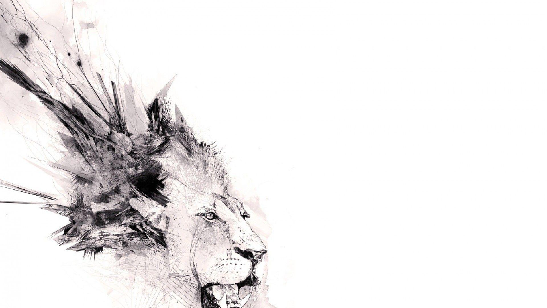 1920x1080 Lion Black and White Wallpaper