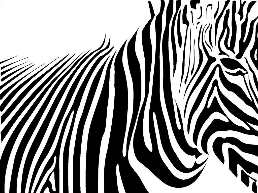 1024x768 Zebra Print Wallpaper 2746 1024x768 px. Zebra print wallpaper, Zebra print background, Zebra