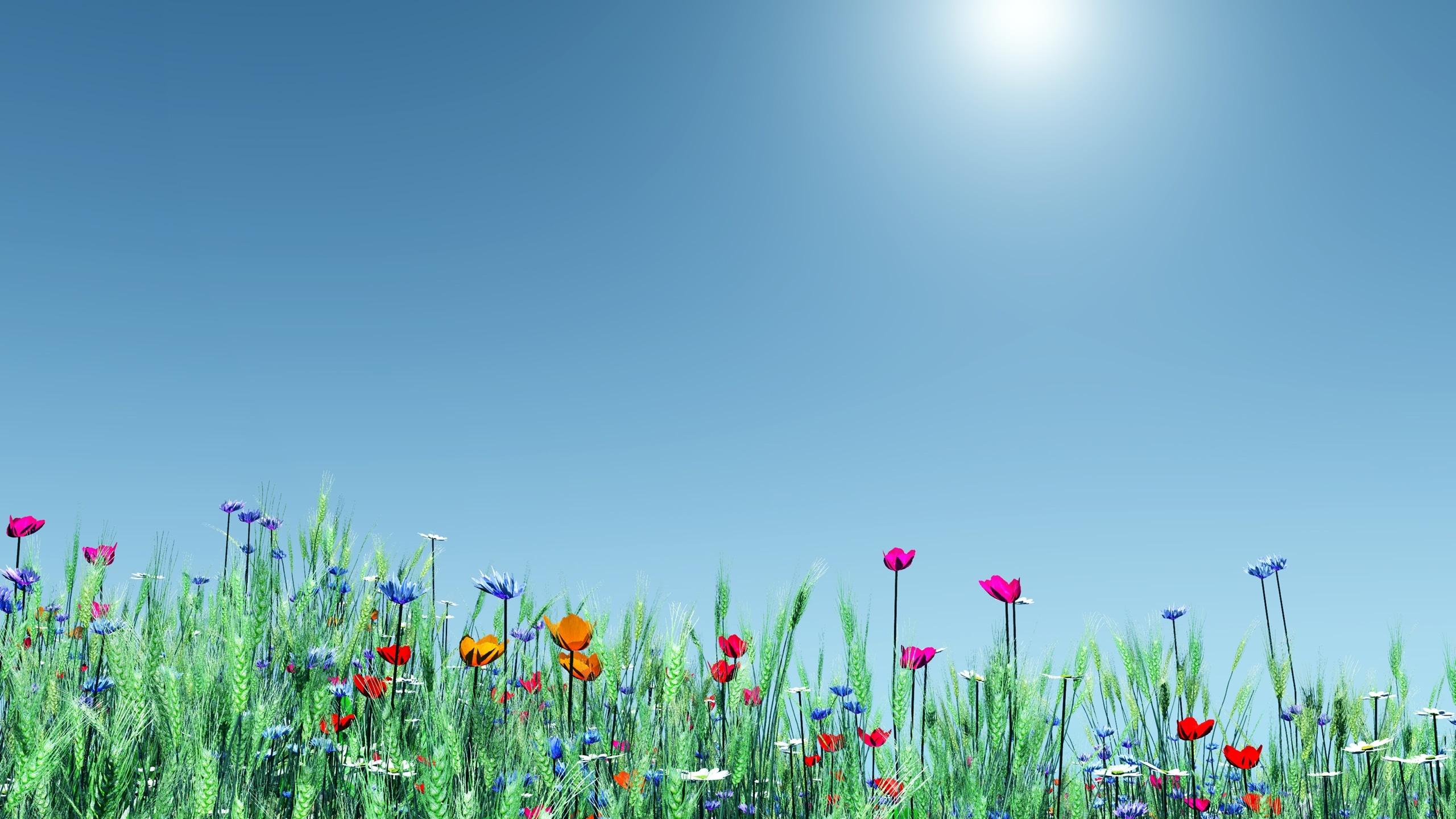 2560x1440 Spring Wallpapers Top Free 2560x1440 Spring Backgrounds Wallpaperaccess