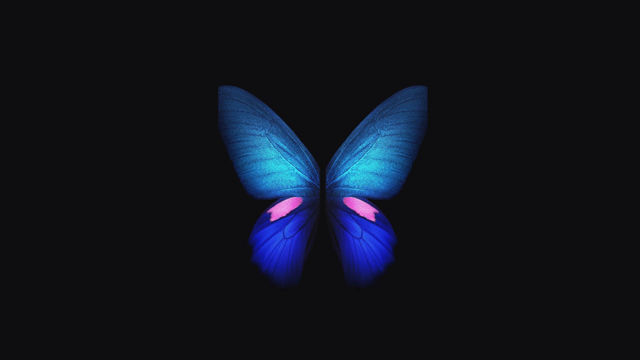 2560x1440 Download 2560x1440 wallpaper samsung galaxy fold, blue butterfly, minimal, art, dual wide, widescreen 16: widescreen, 2560x1440 HD image, background, 19933