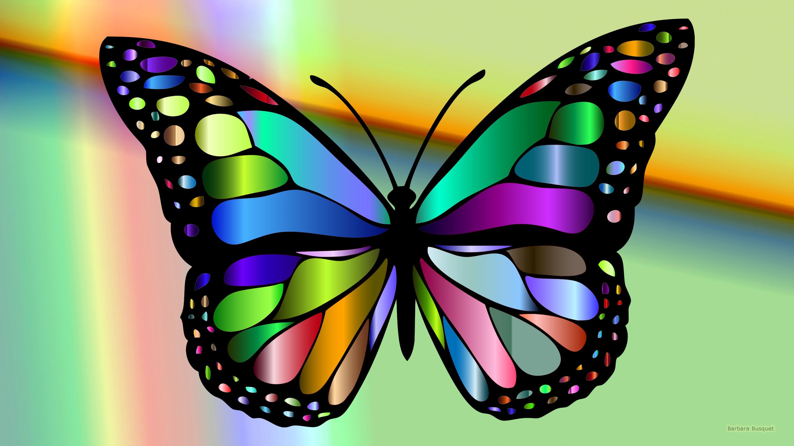 2560x1440 Colorful Butterfly Image HD HD Wallpaper