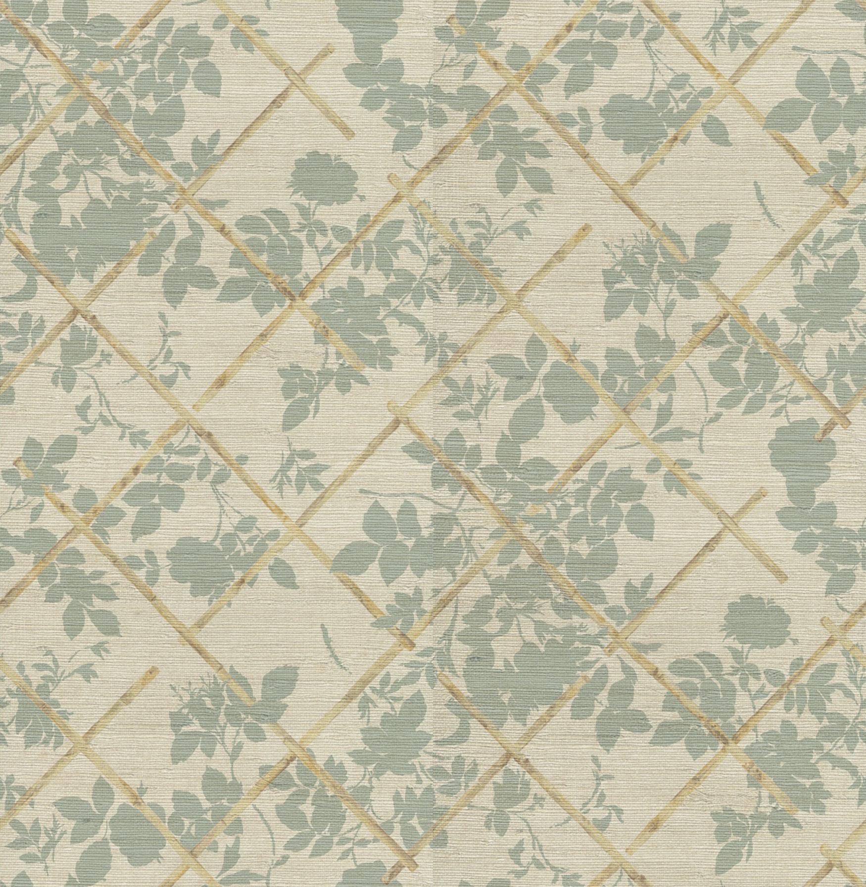 Cameo Wallpapers - Top Free Cameo Backgrounds - WallpaperAccess