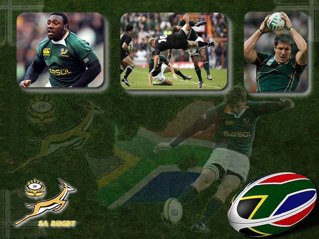 1024x768 Springboks Wallpaper
