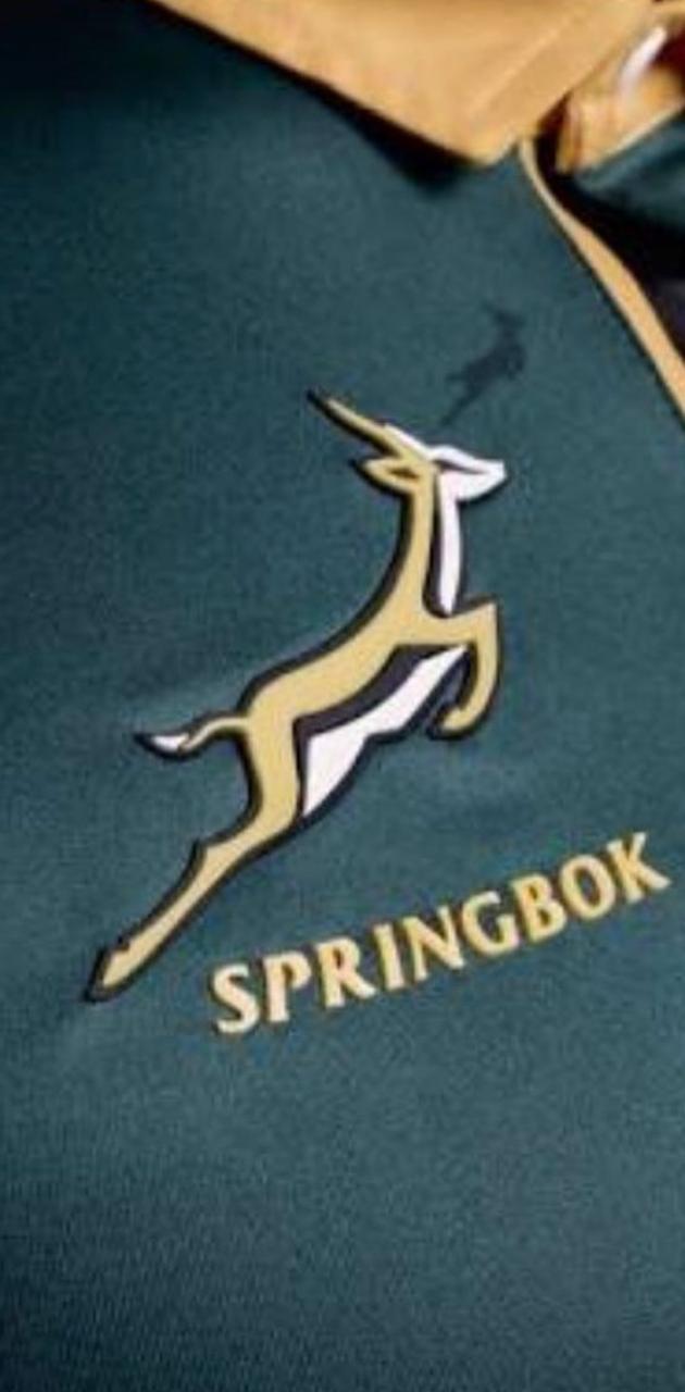 630x1280 Springbok rugby wallpaper