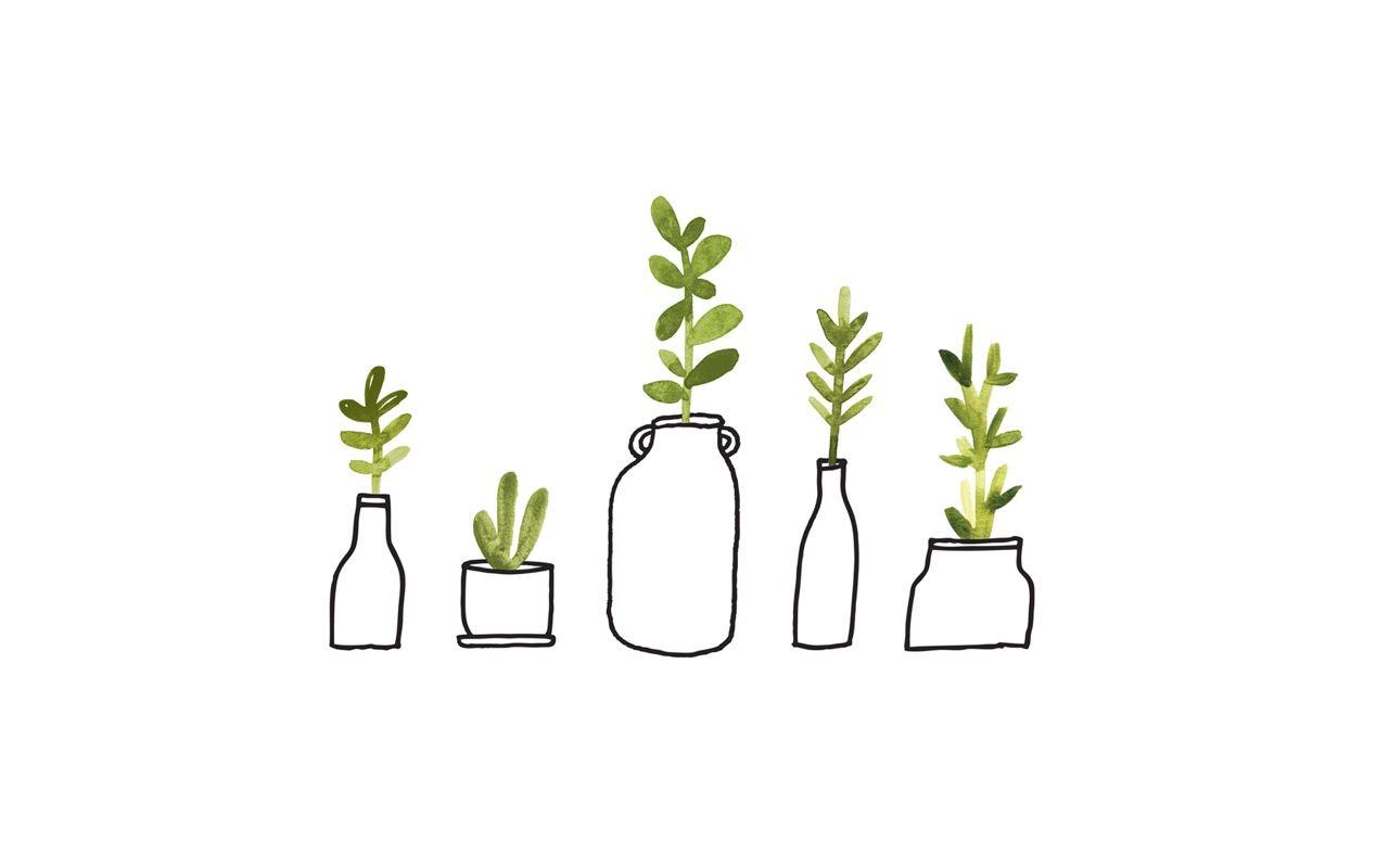 15+ Best New Aesthetic Plant Drawing Plant Backgrounds For Computer