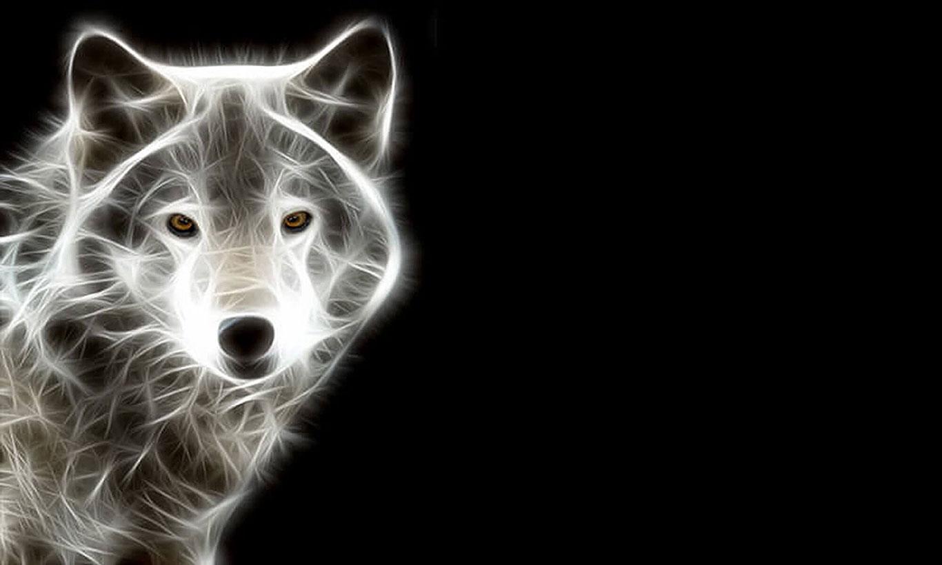 1366x820 Cool Black & White Wolf Wall Mural