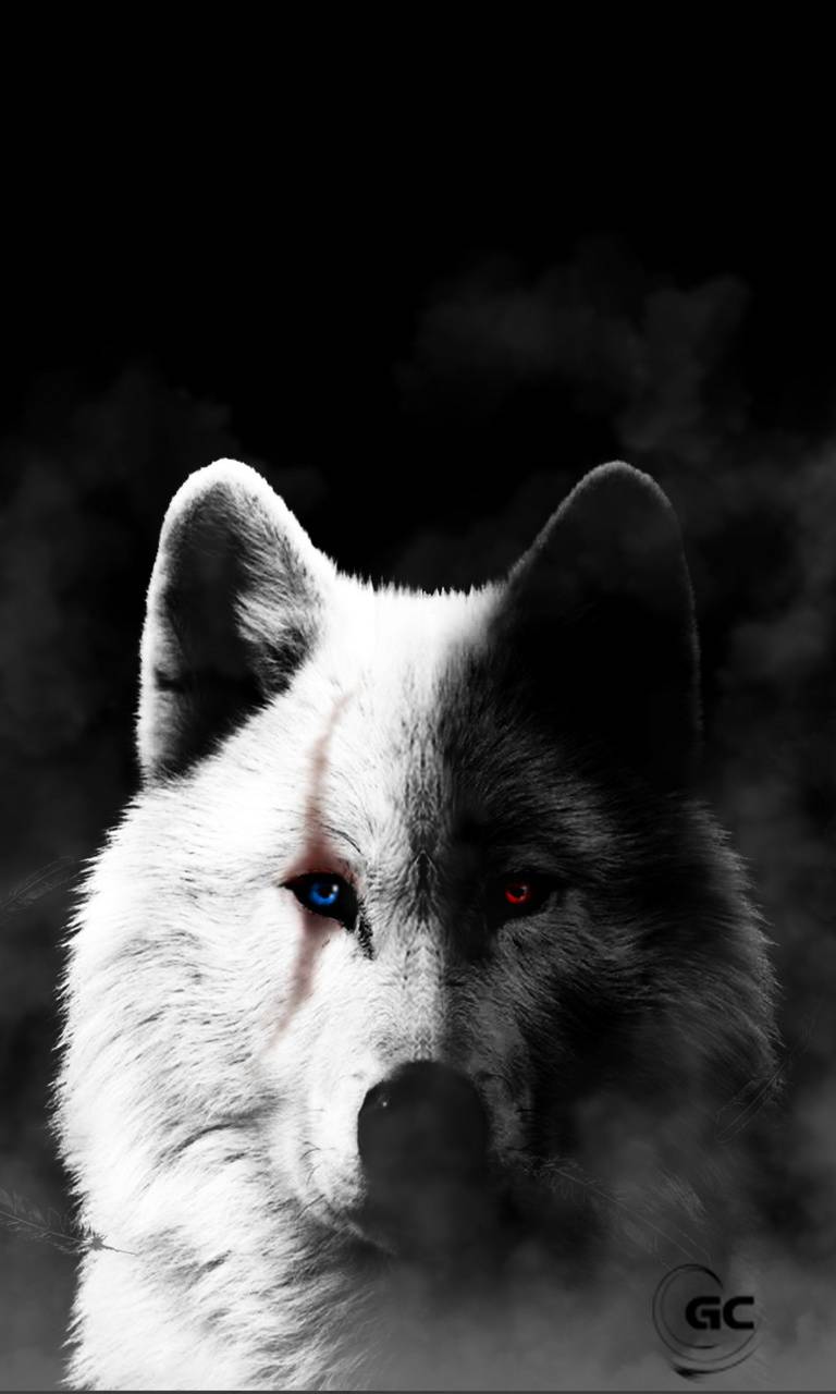 768x1280 Black and White Wolf Wallpaper, HD Black and White Wolf Background