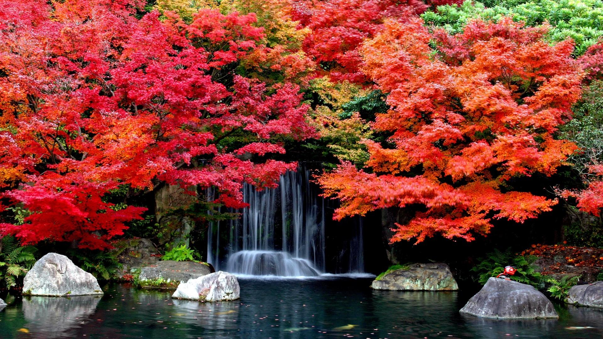 1920x1080 Autumn Falls Desktop Background HD Wallpaper 1629361 2560x1600 Autumn :