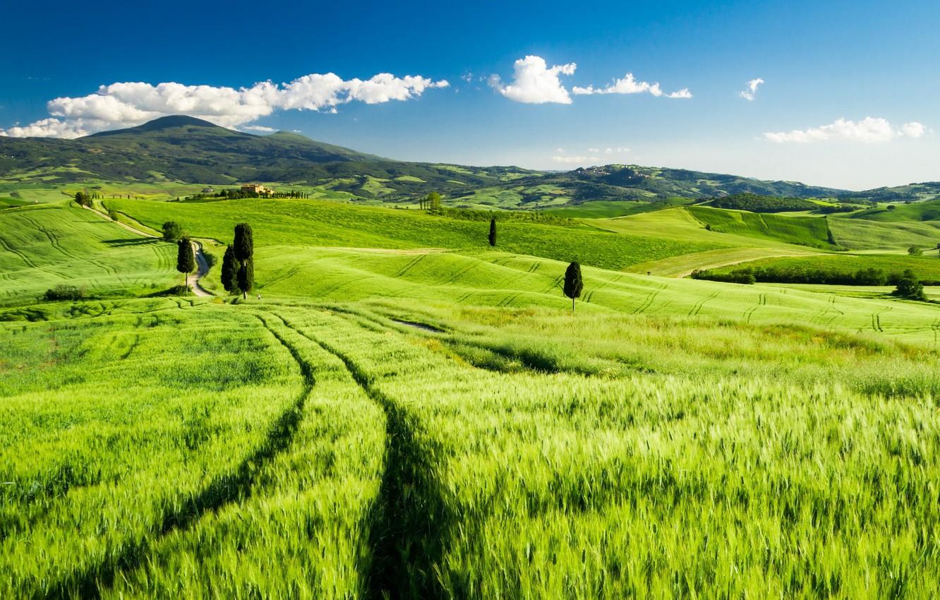 1332x850 Wallpaper field, landscape, Italy, Tuscany image for desktop, section пейзажи