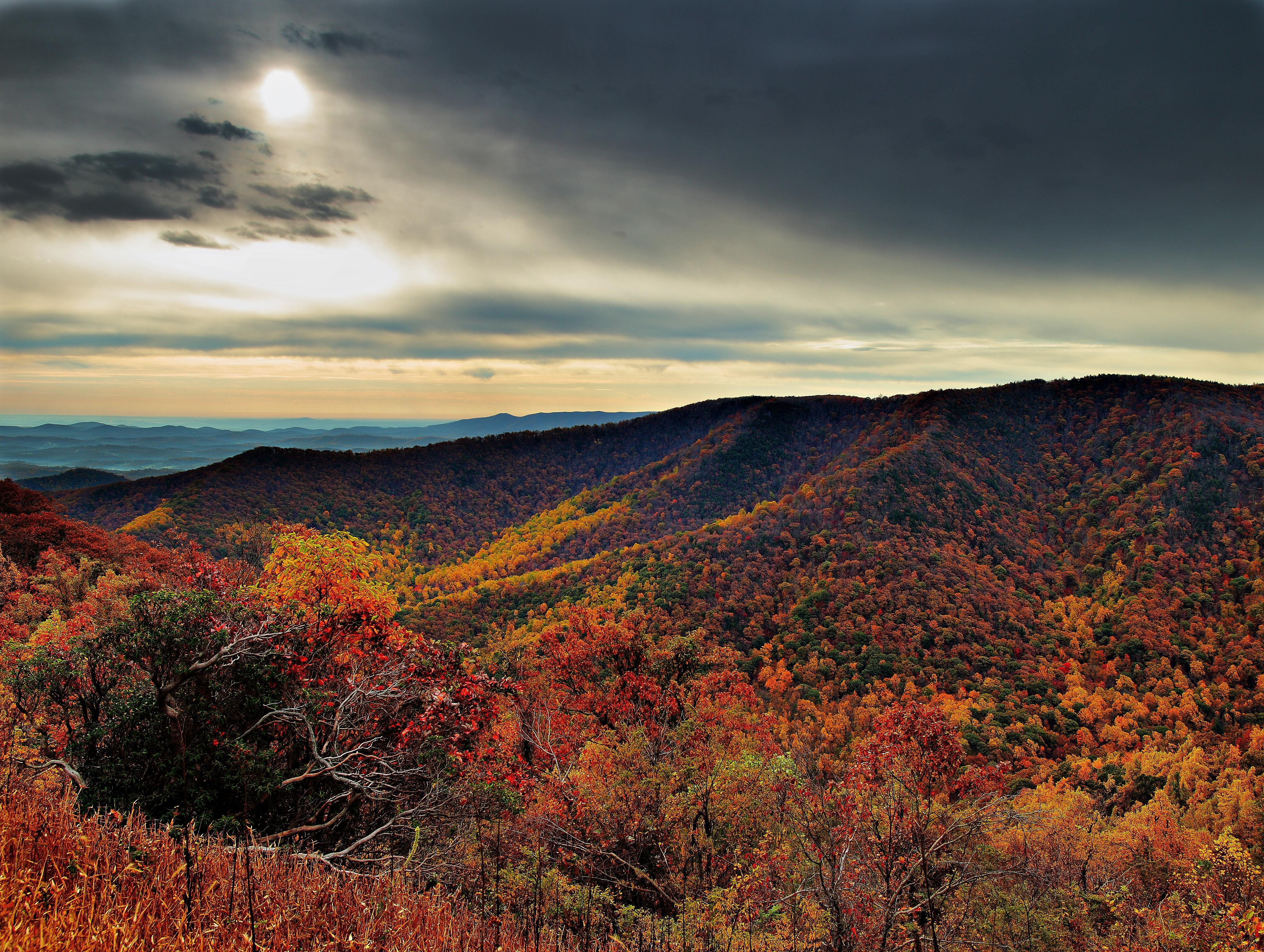 Blue ridge mountains. Блу Ридж Маунтин. Blue Ridge Mountains Virginia. Purple Mountain Majesty. Blue Ridge Mountain Metallic.