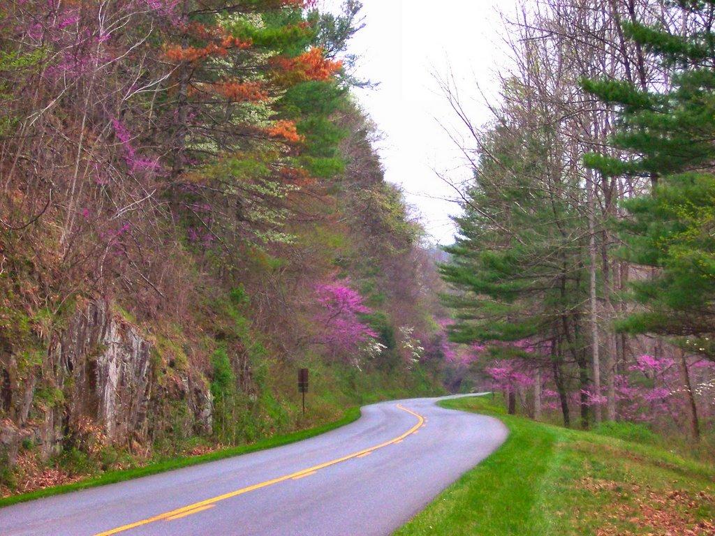 1024x768 Blue Ridge Gazette: Spring on the Blue Ridge Parkway of Virginia