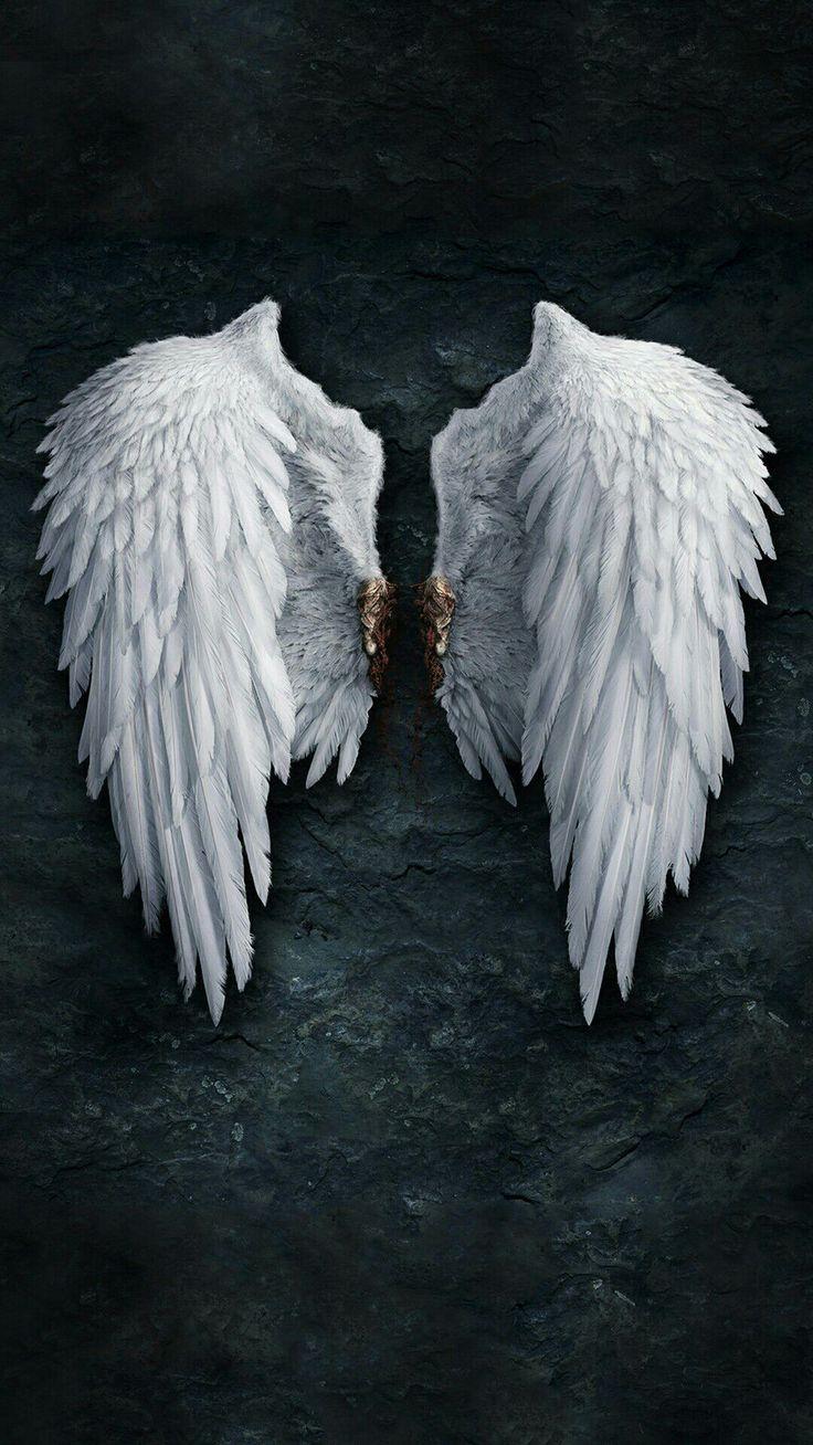 736x1308 Templates For Covers. Angel wings HD wallpaper, Angel wings hd, Angel wings background