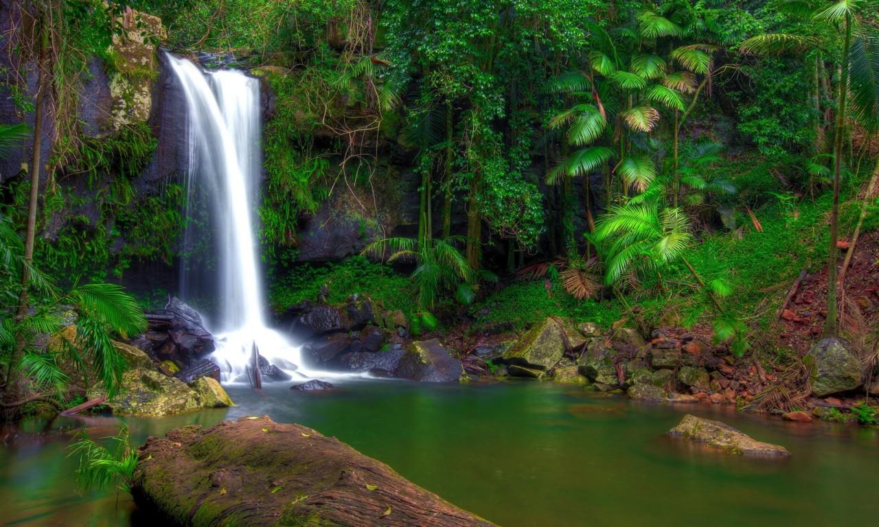 1280x768 Wonderful Tropical Waterfall In Jungle Green Vegetation Rocks Full HD Wallpaper :