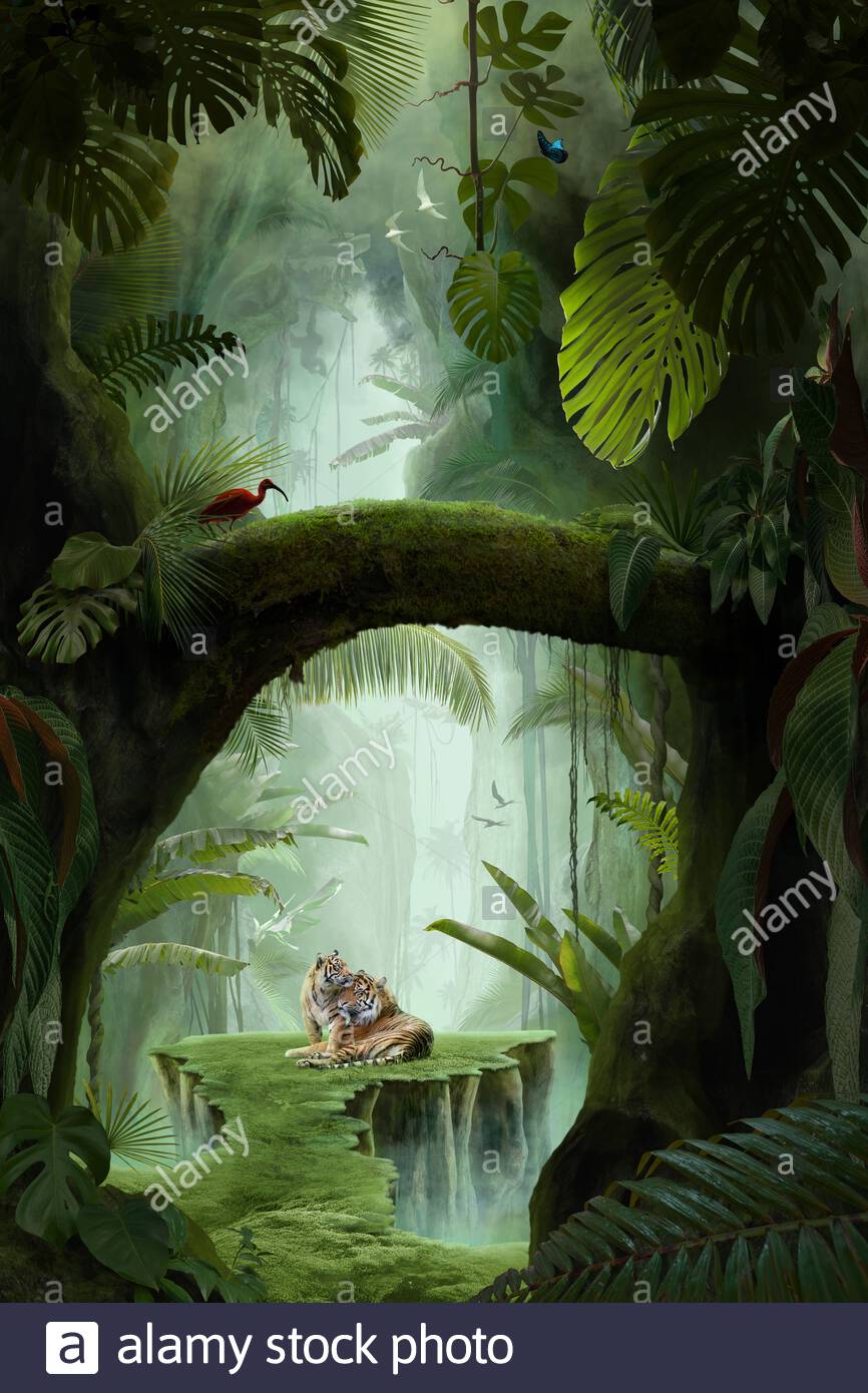 866x1390 Wallpaper Jungle