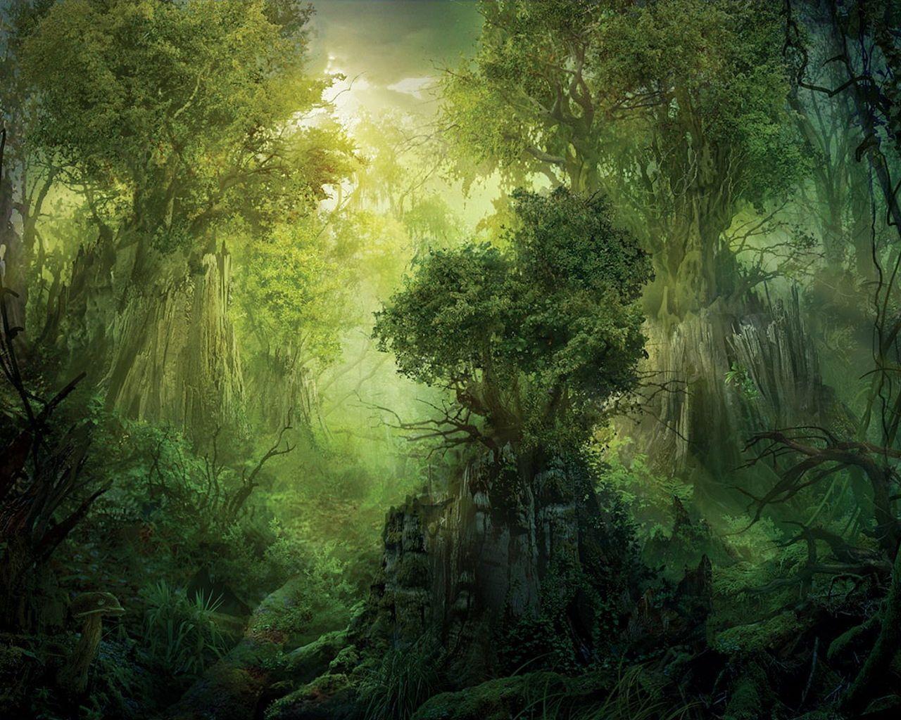 1280x1024 Jungle wallpaper Download below a high quality Beautiful Jungle