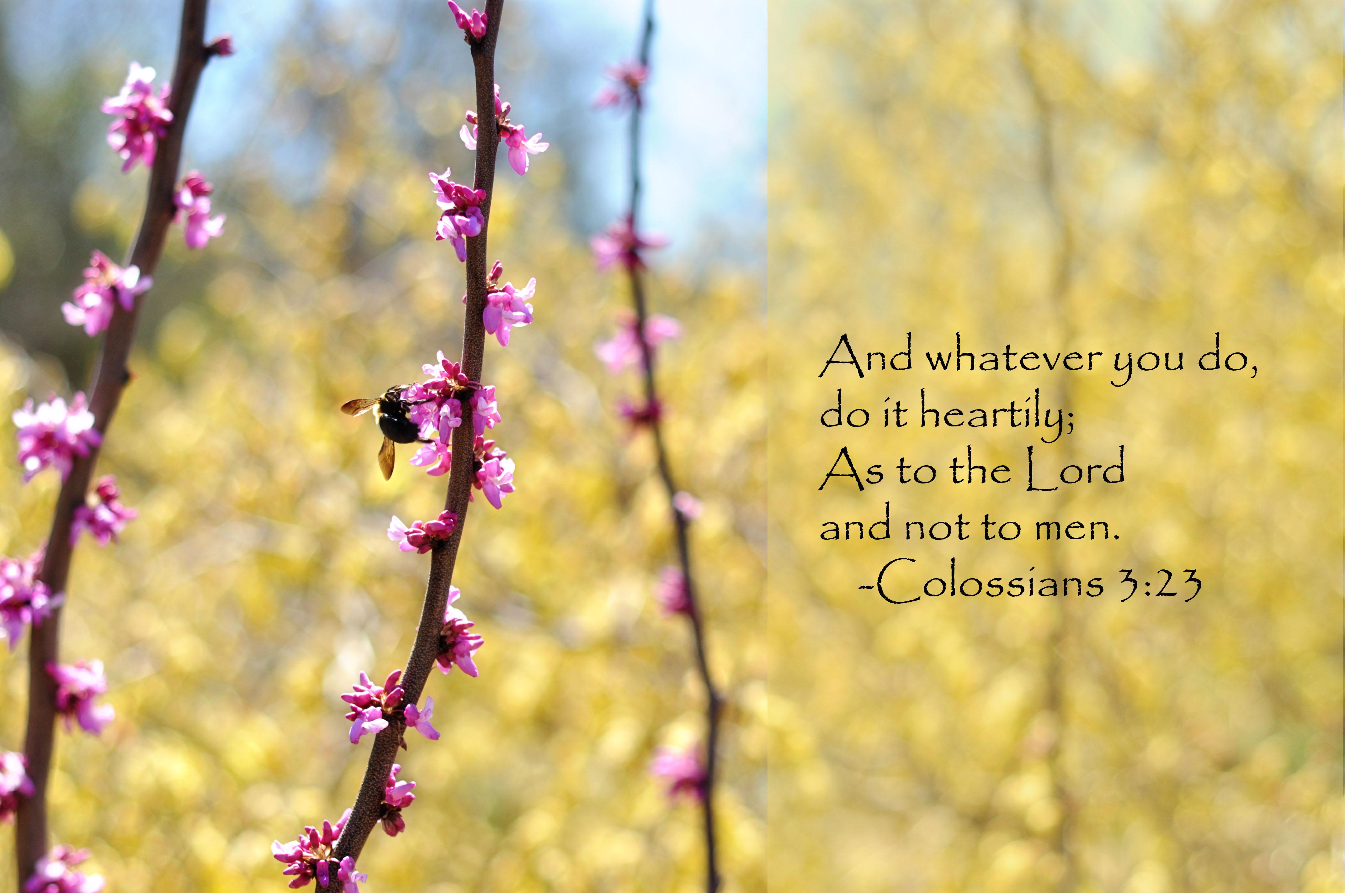 4288x2848 bible verses, Religion, Quote, Text, Poster, Bible, Verses, Ba Wallpaper HD / Desktop and Mobile Background