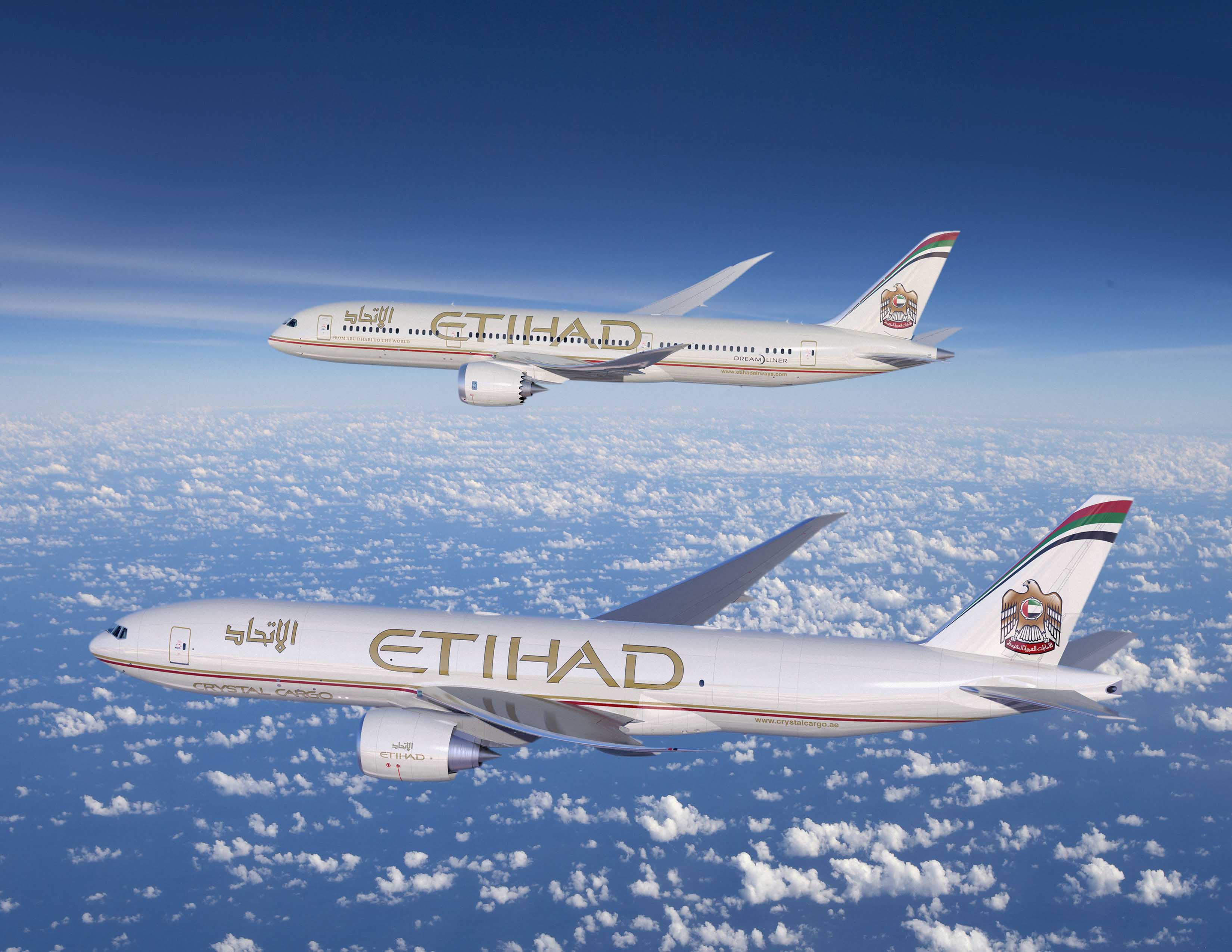 Boeing 787 9 etihad схема салона