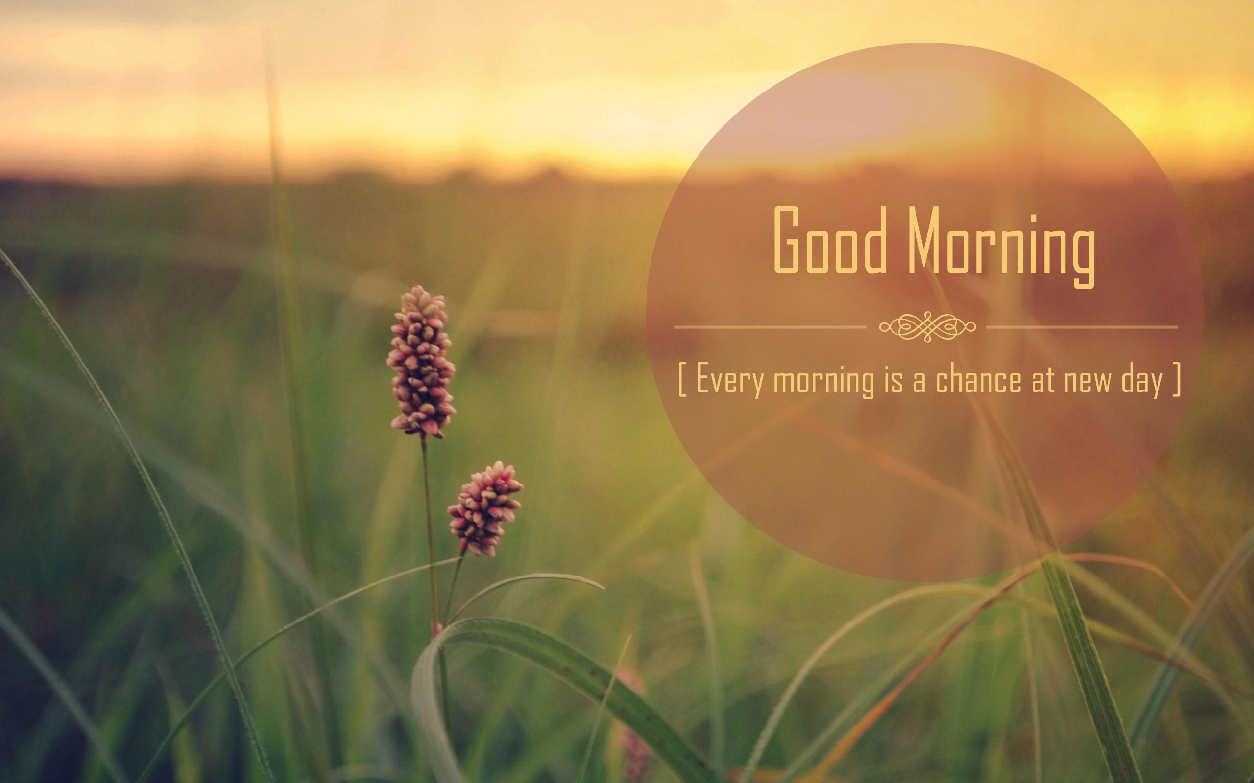2560x1600 Good Morning Quote Wallpaper Pics