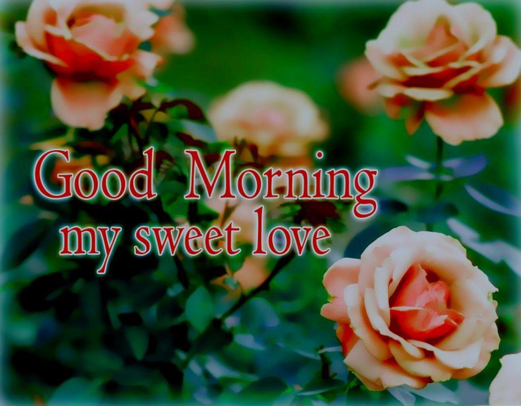 1024x797 ᐅ+ Good Morning Image HD, Morning Picture, Wishes