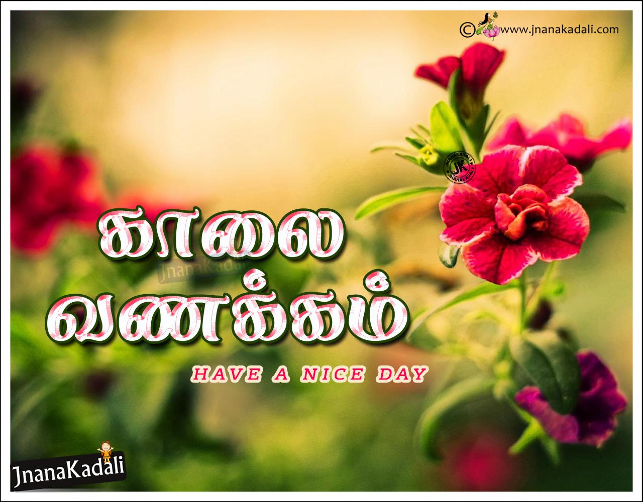 1280x1000 Good Morning Greetings With HD Wallpaper in Tamil. JNANA KADALI.COM. Telugu Quotes. English quotes. Hindi quotes. Tamil quotes. Dharmasandehalu