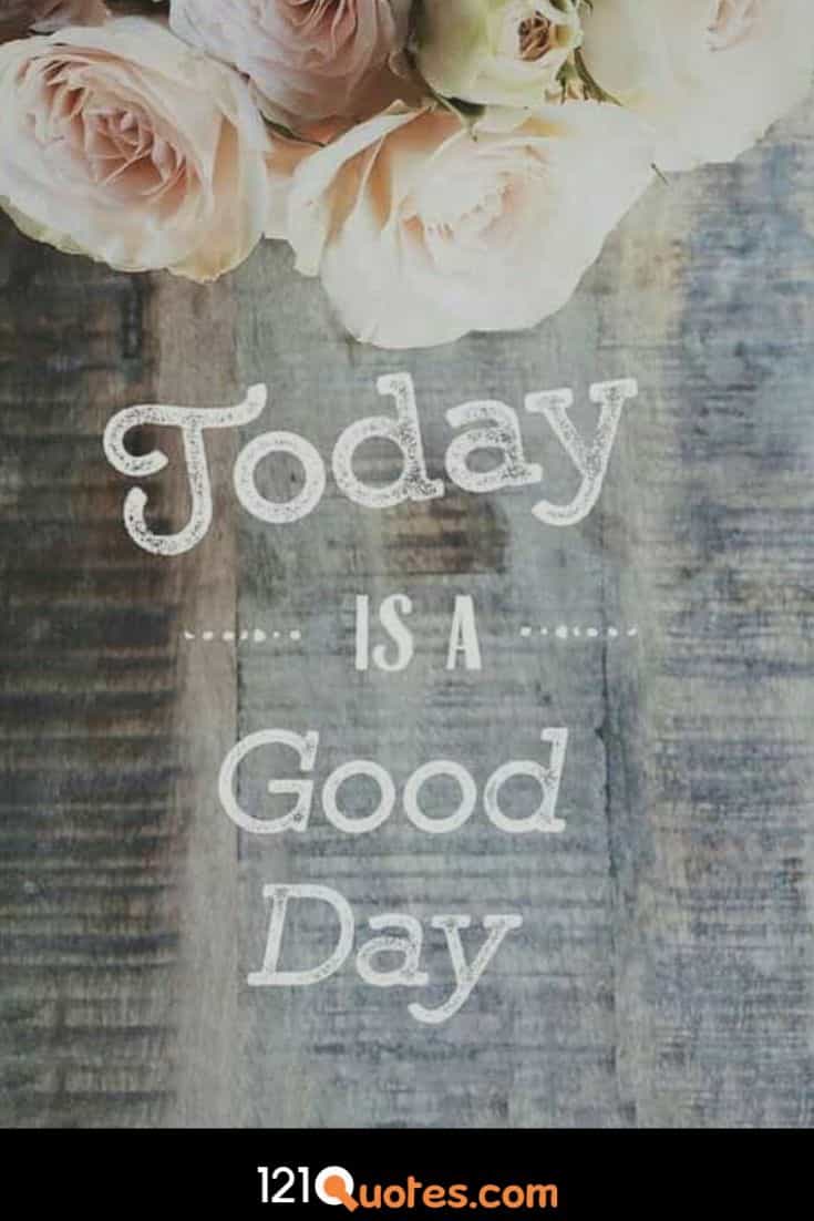 735x1102 Good Morning Tuesday Image and Wishes [ Amazing Collection ]
