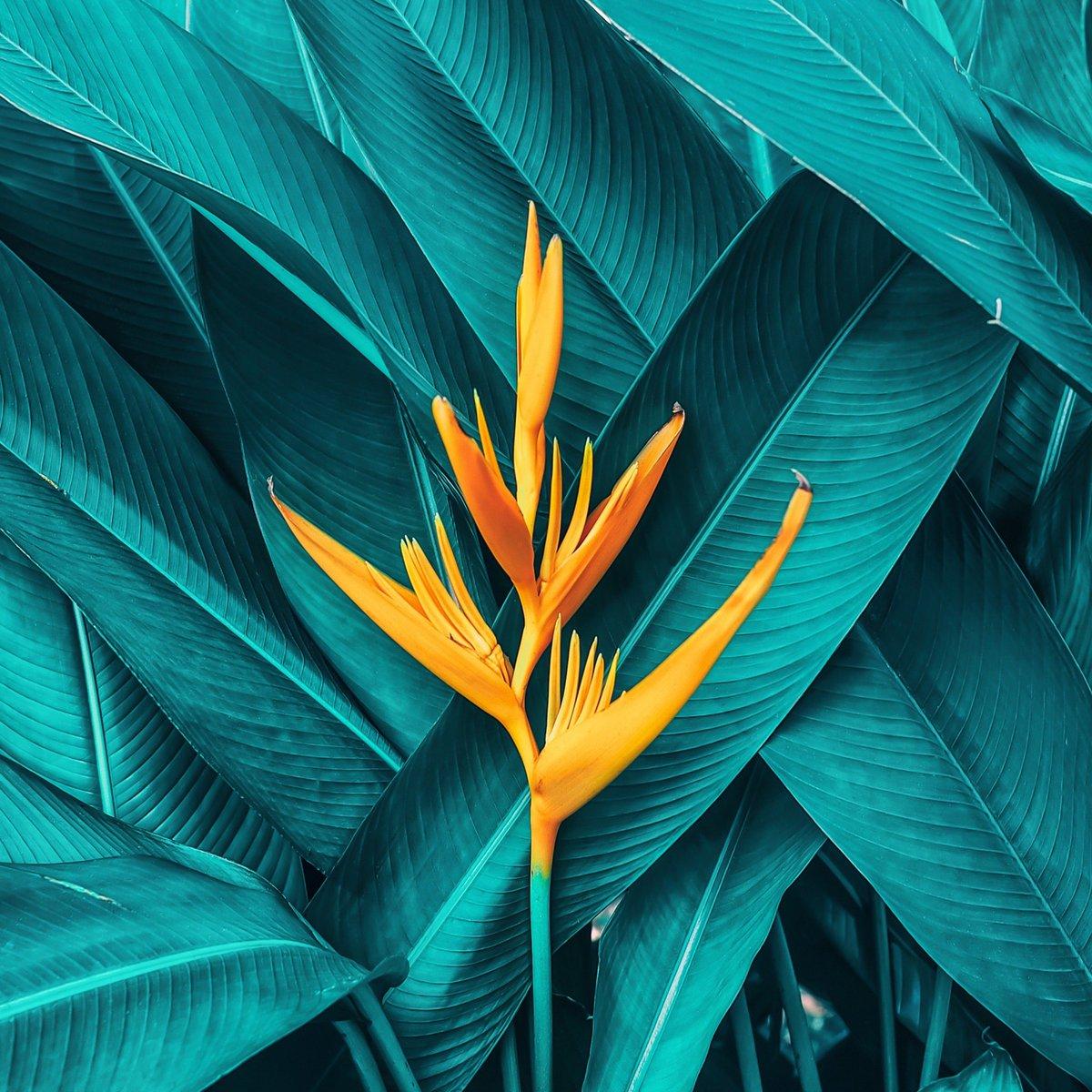 1200x1200 everpix is a good day to change the #wallpaper