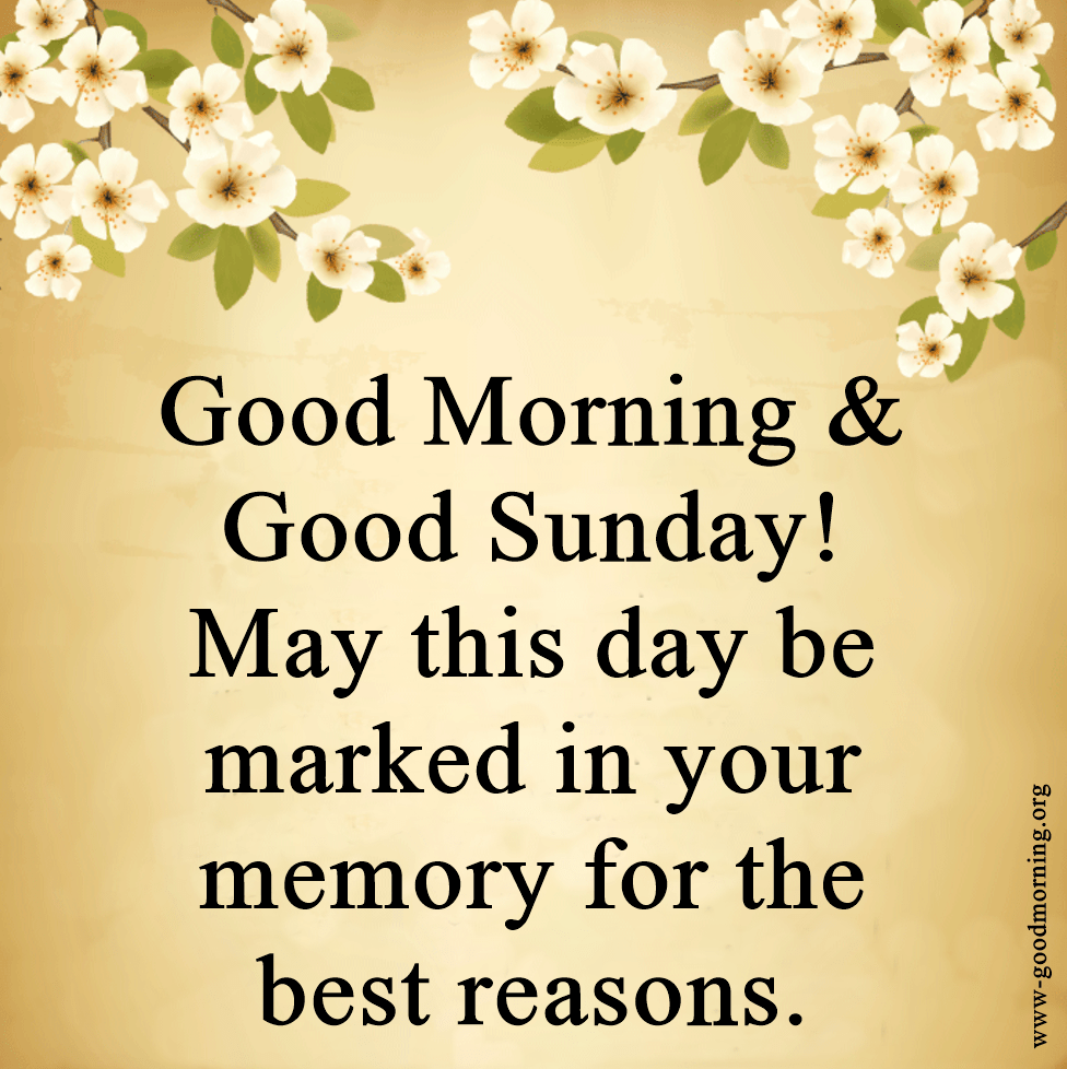976x978 Sunday quotes wallpaper Sunday wallpaper with quotes sunday image and quotes gifaya