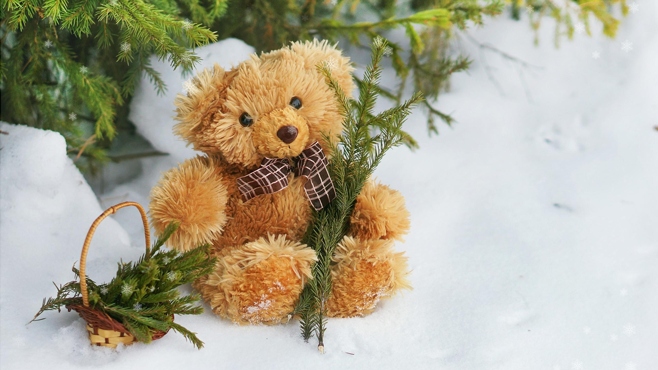 Winter Teddy Bears Wallpapers - Top Free Winter Teddy Bears Backgrounds ...
