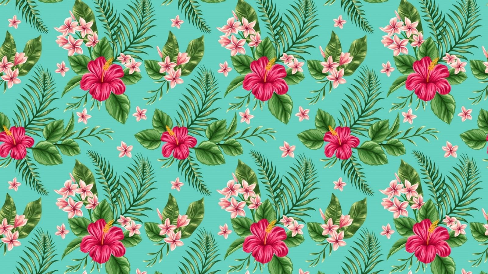 1600x900 Teal Pink Floral Flowers Tropics Plumeria HD Floral Wallpaper